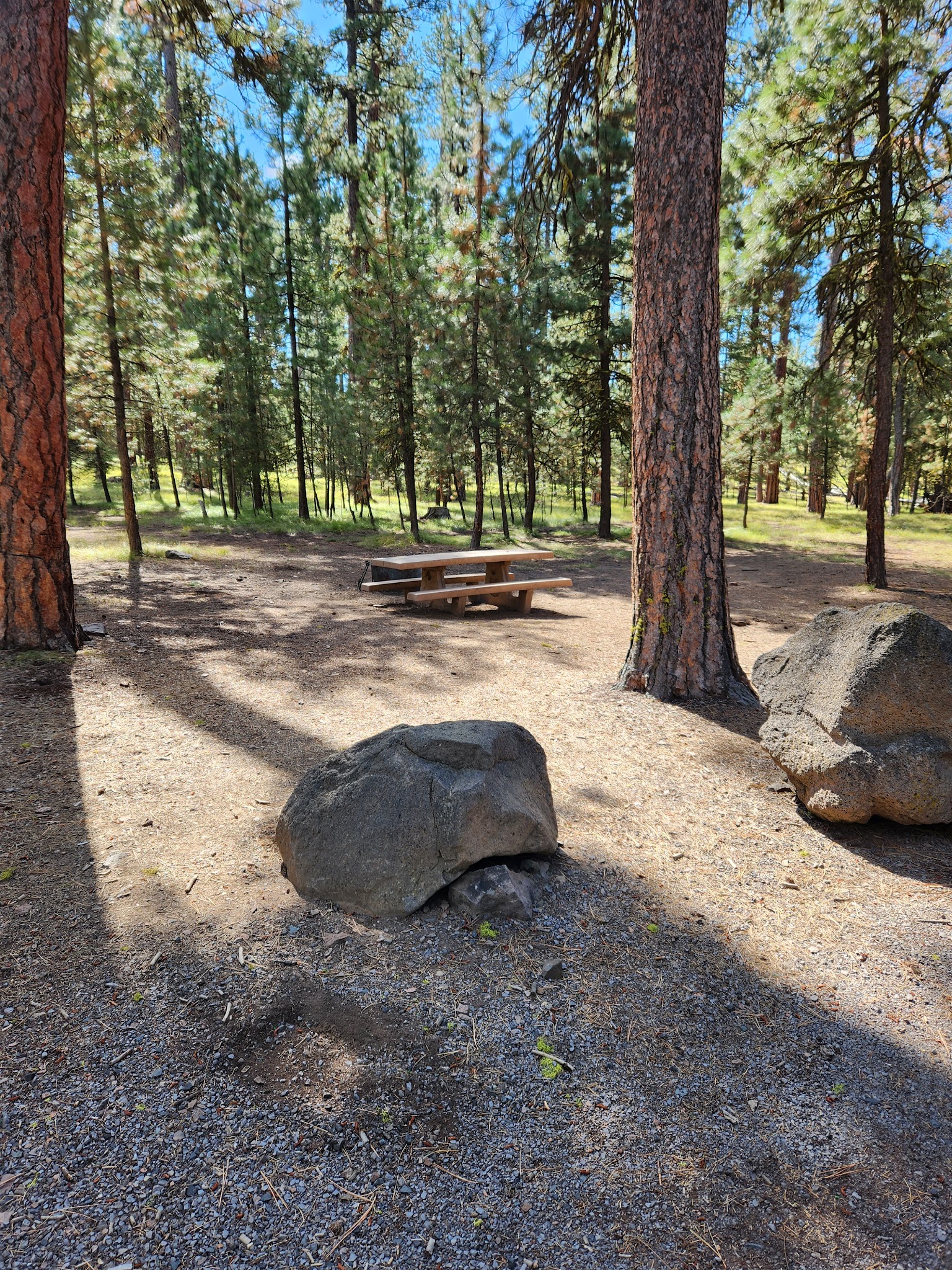 Delintment Lake Campground
