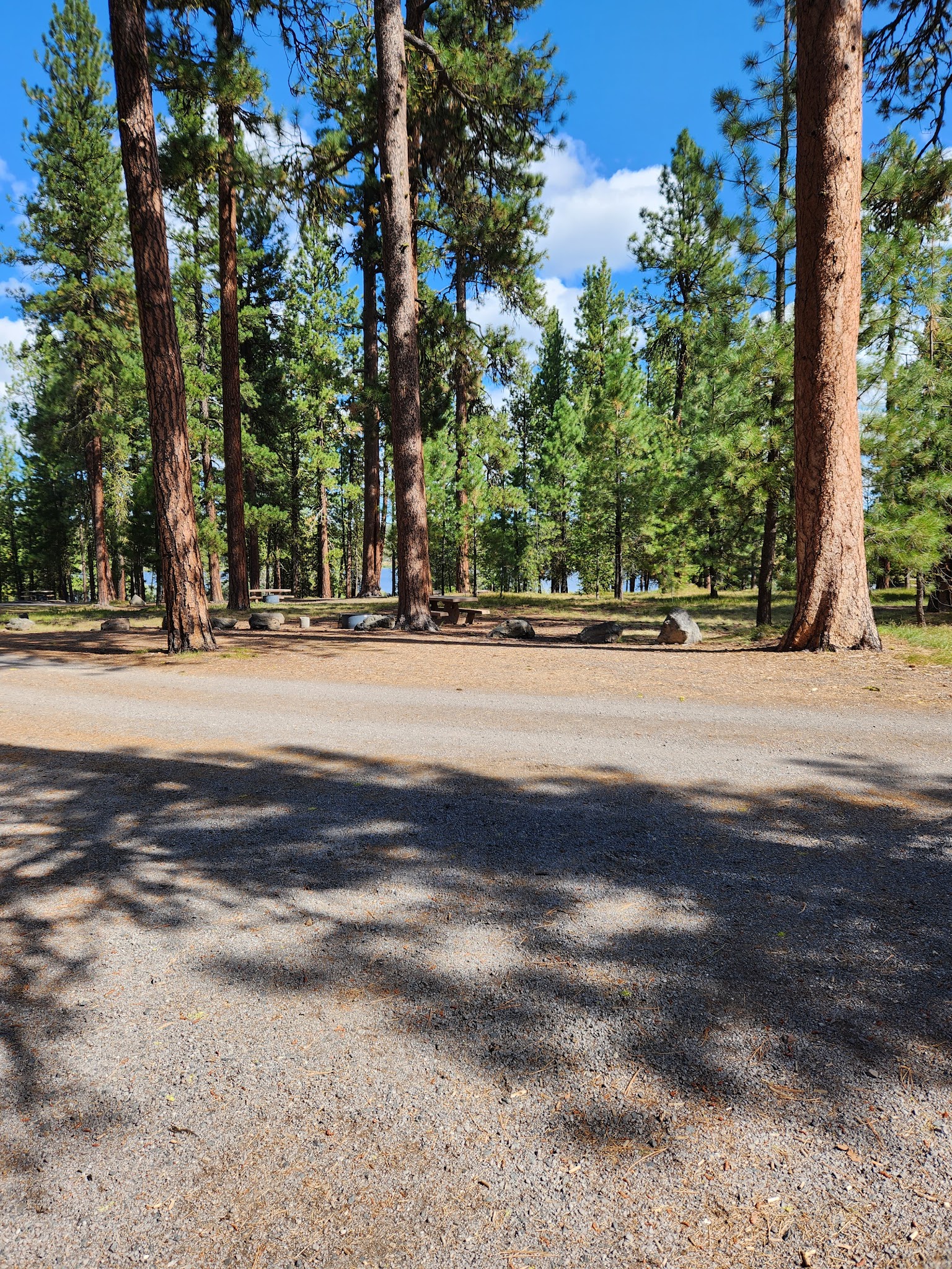 Delintment Lake Campground