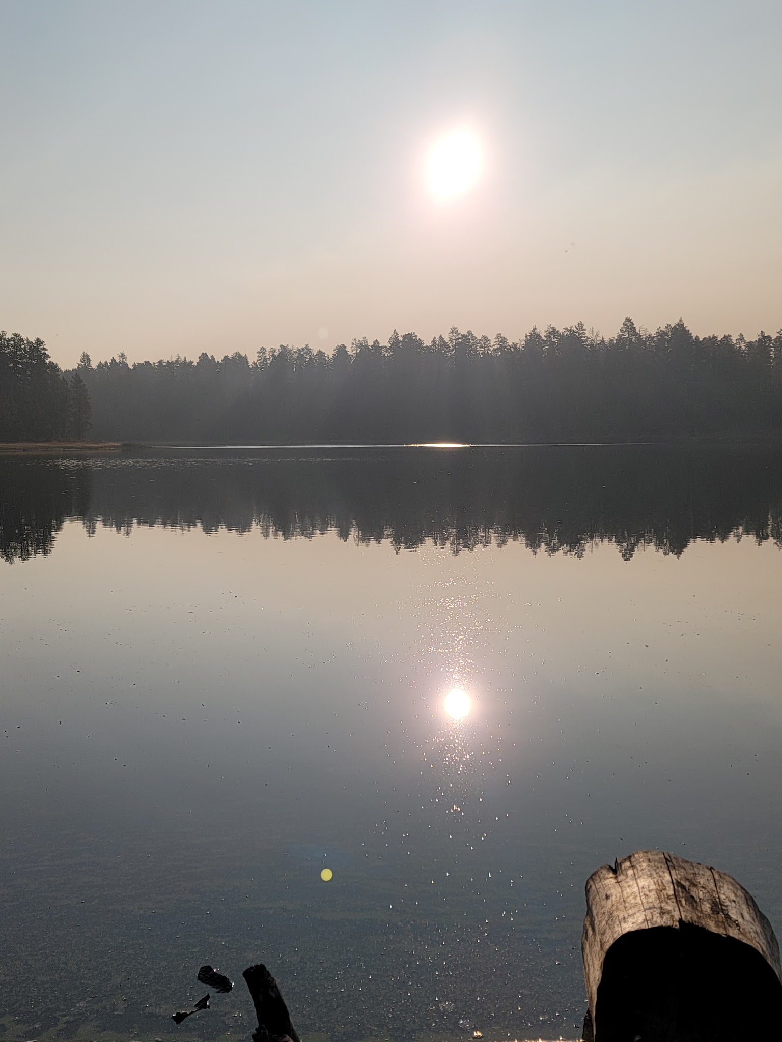 Delintment Lake Campground