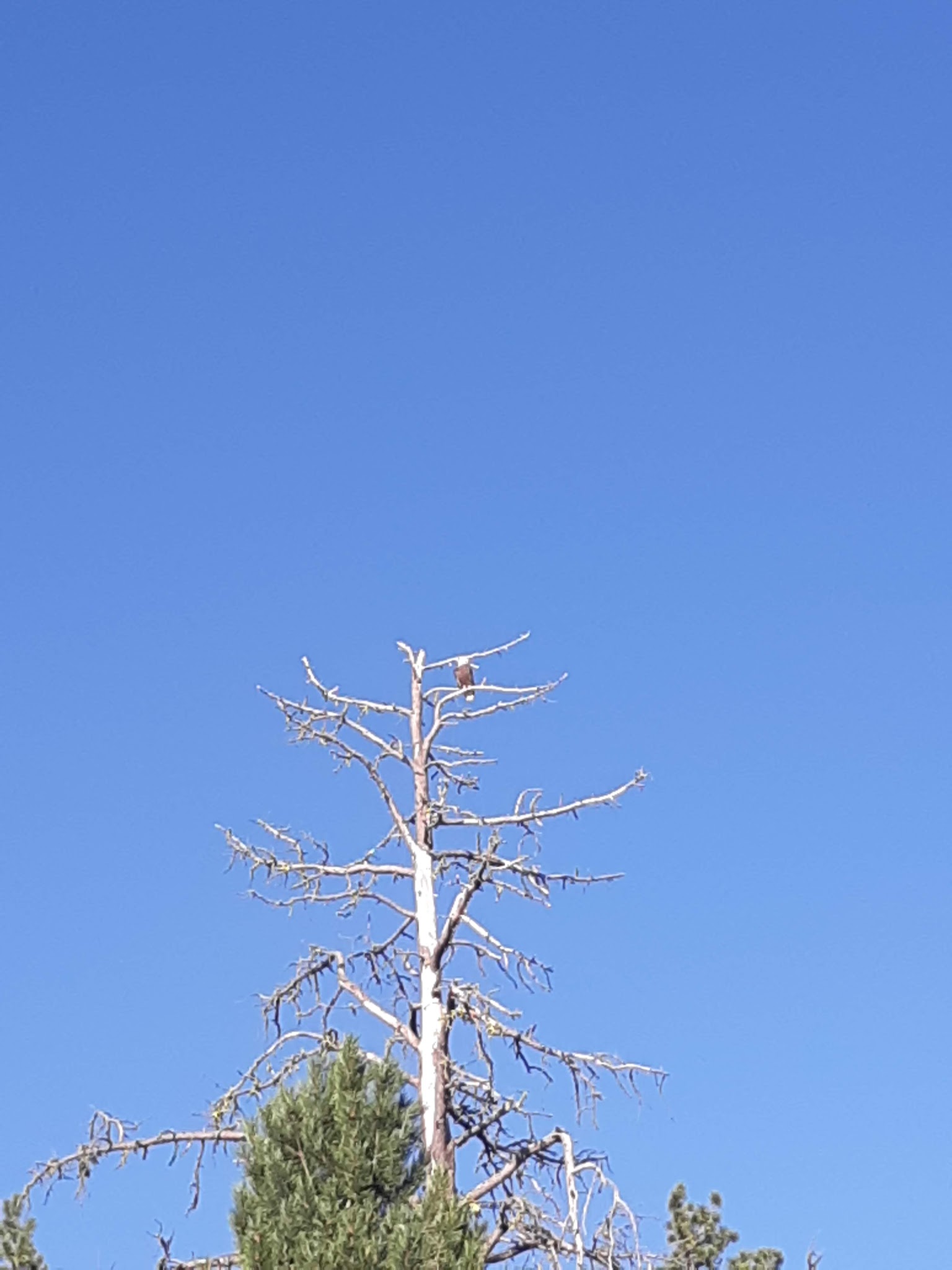 Delintment Lake Campground