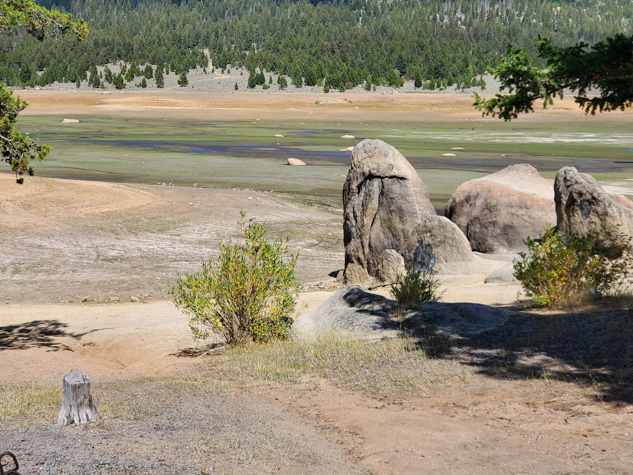 Delmoe Lake Campground And Picnic Area