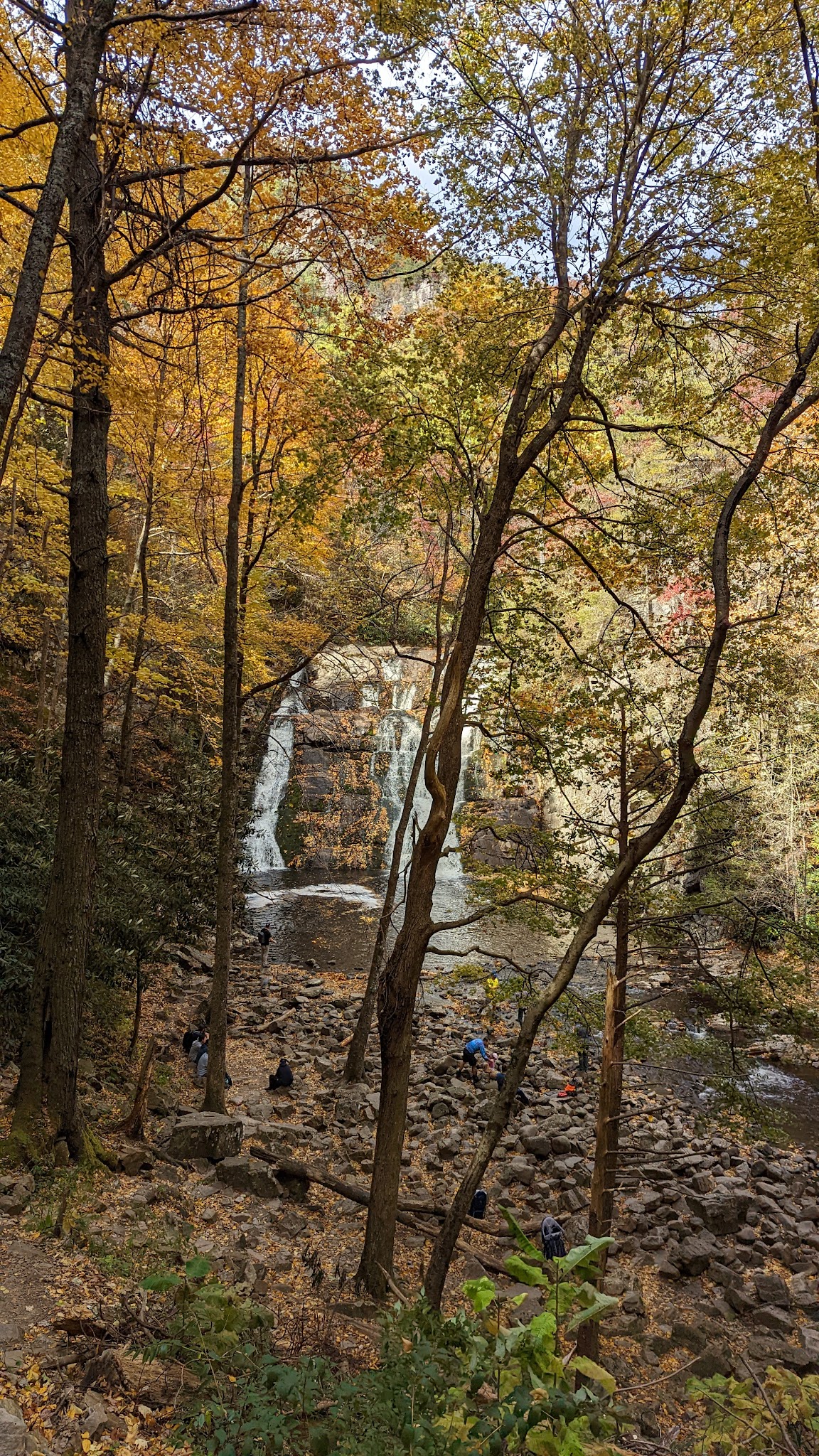 Dennis Cove Campground