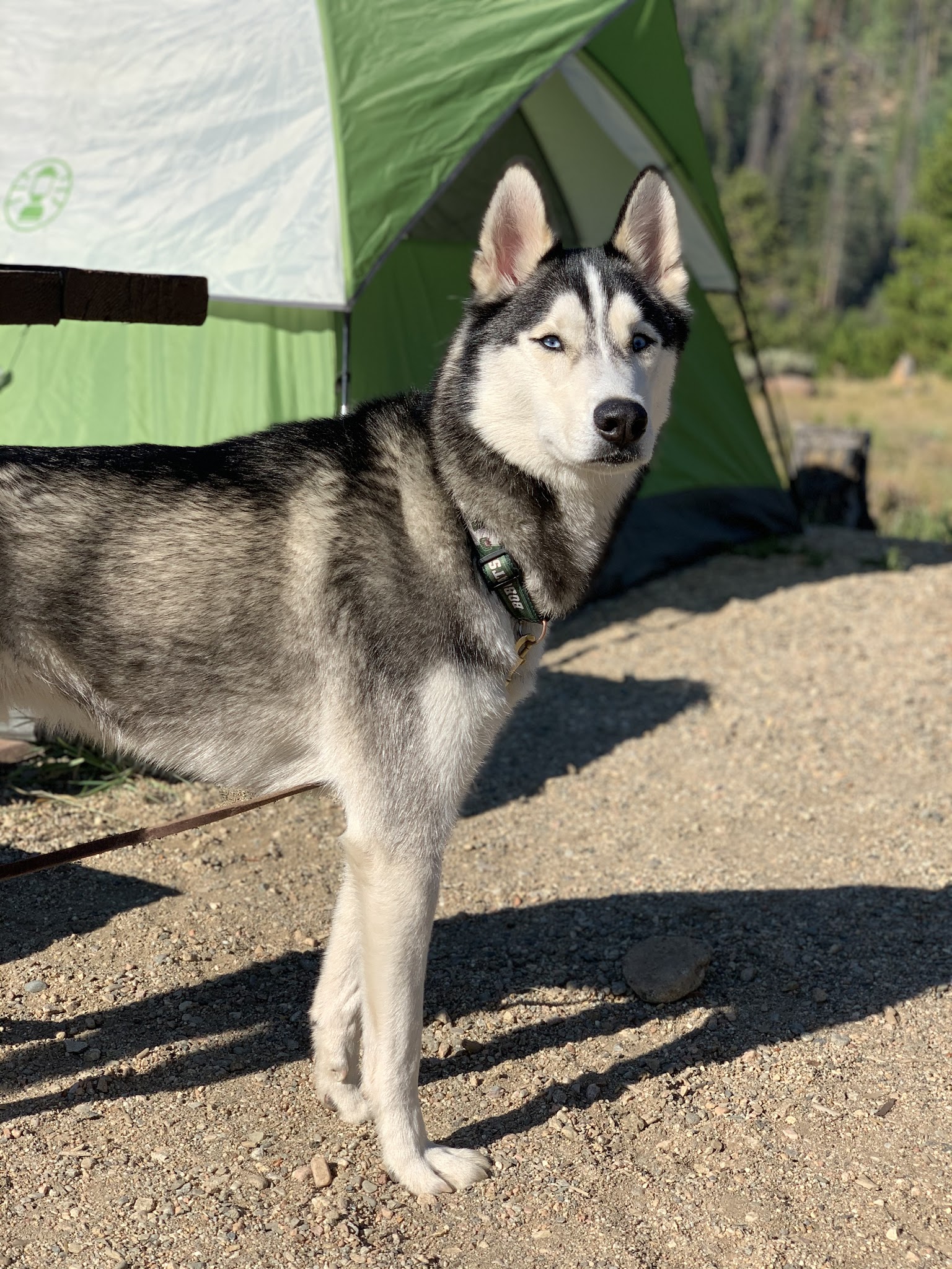 Denver Creek Campground
