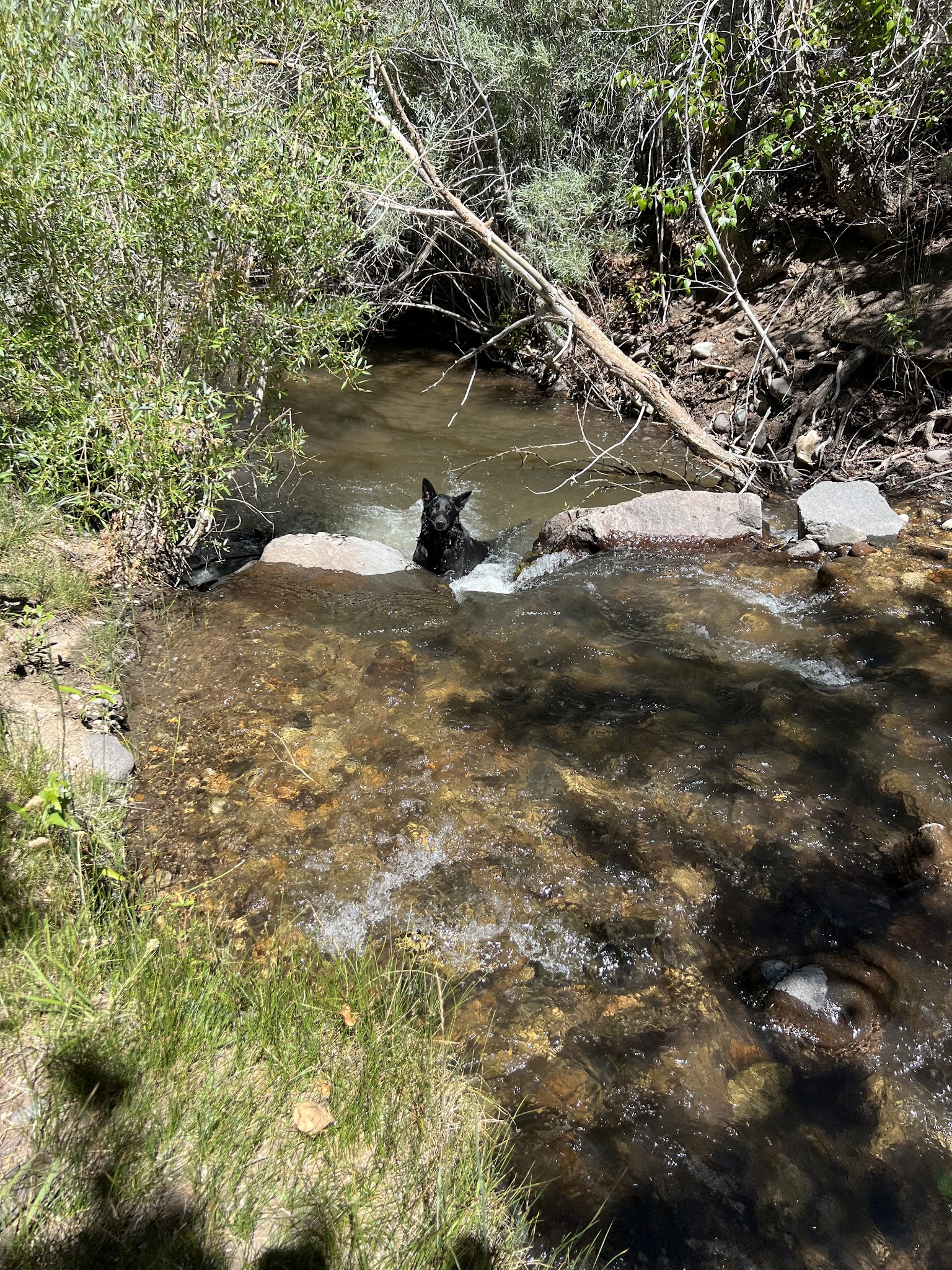 Desert Creek Campground