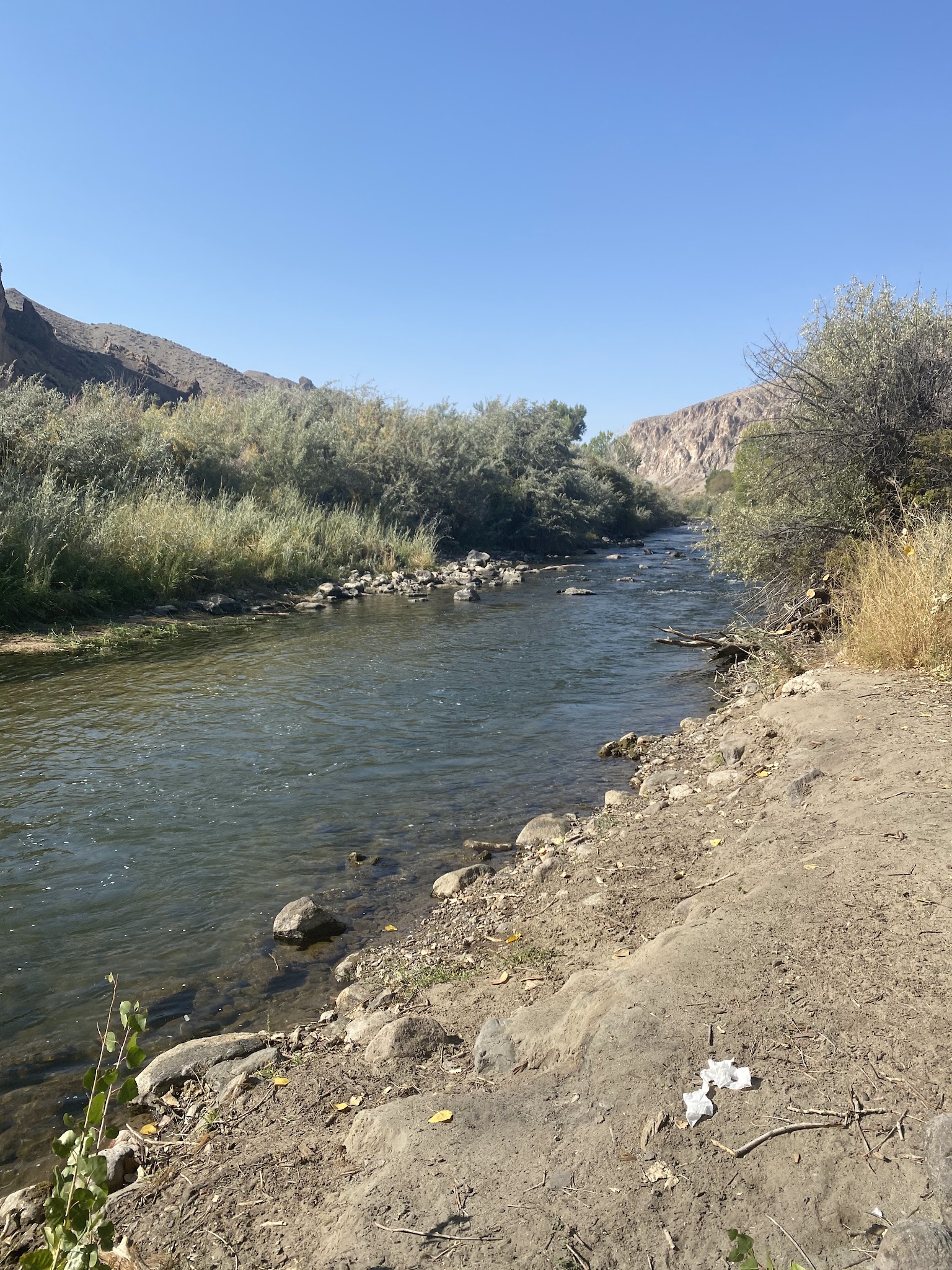 Desert Creek Campground