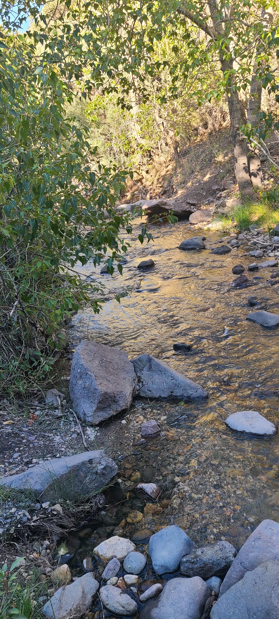 Desert Creek Campground