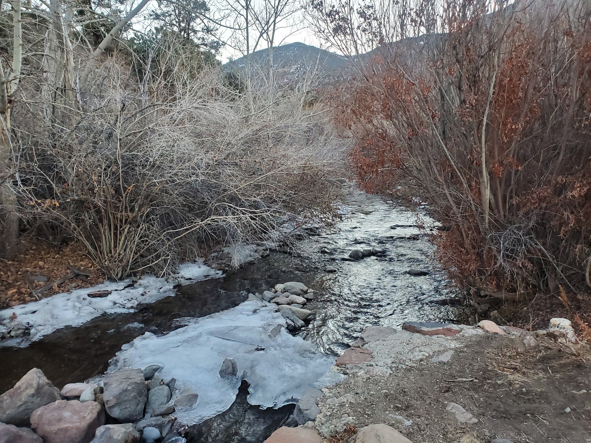Desert Creek Campground