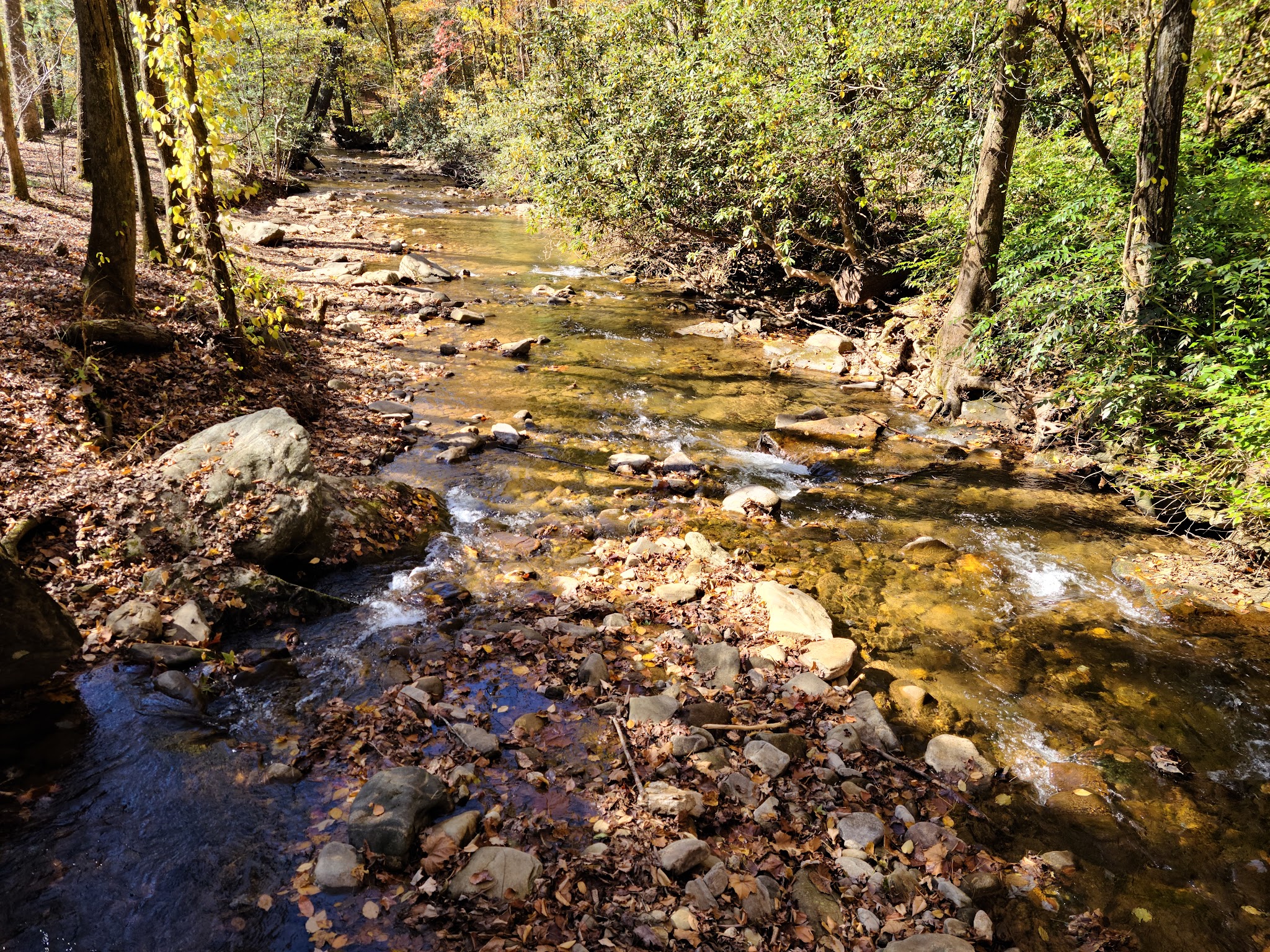 Desoto Falls Recreation Area