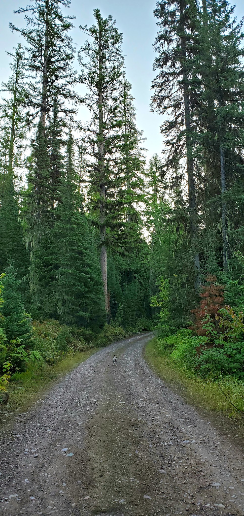 Devil'S Corkscrew Campground