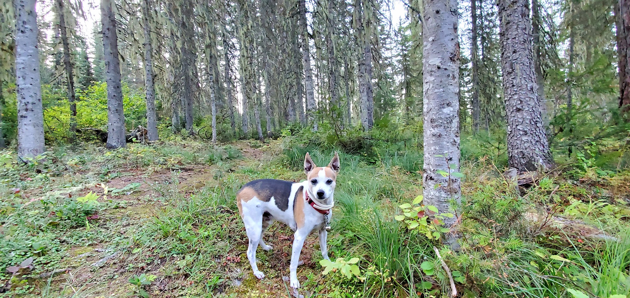Devil'S Corkscrew Campground