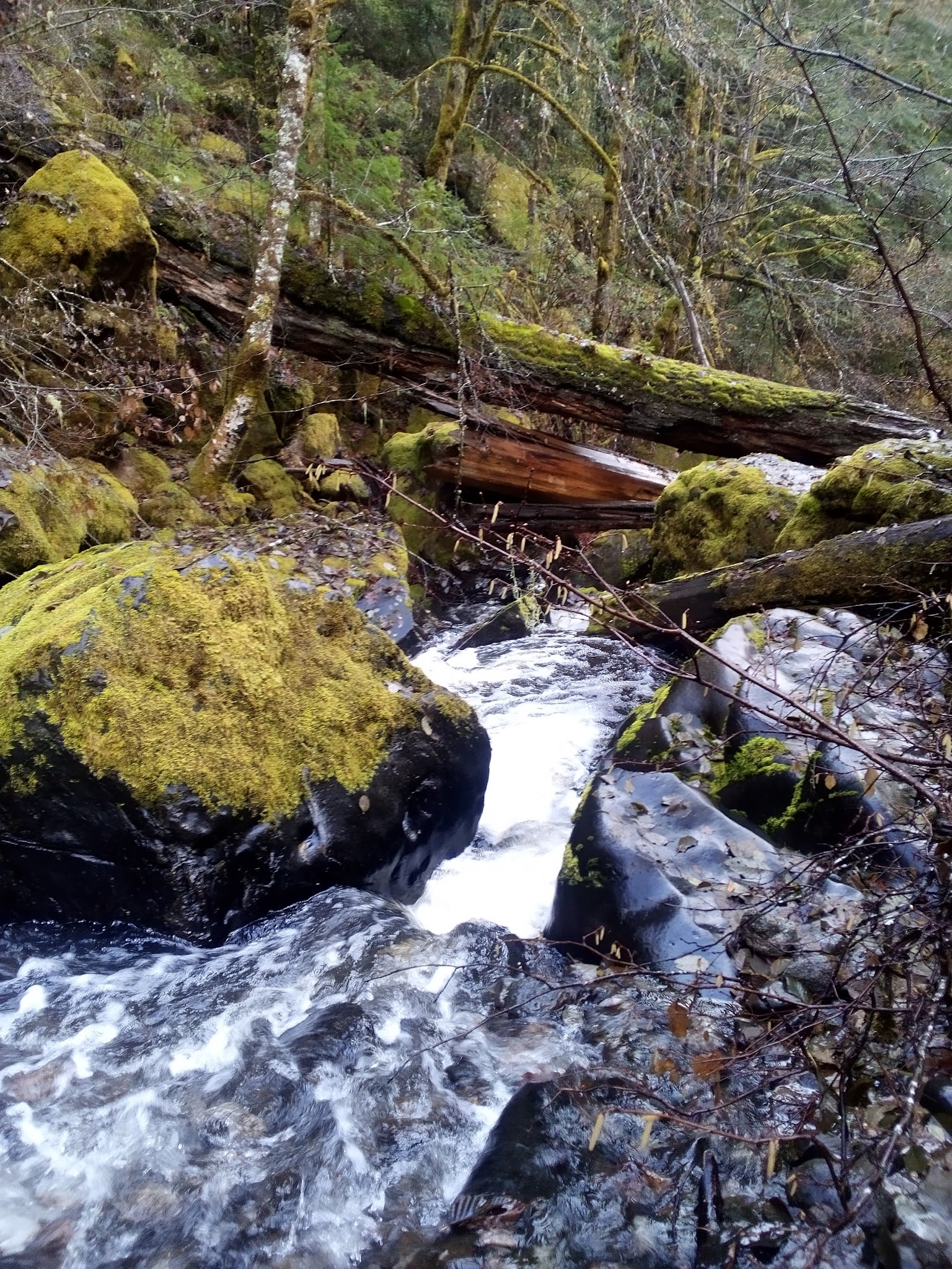 Devil'S Flat Campground