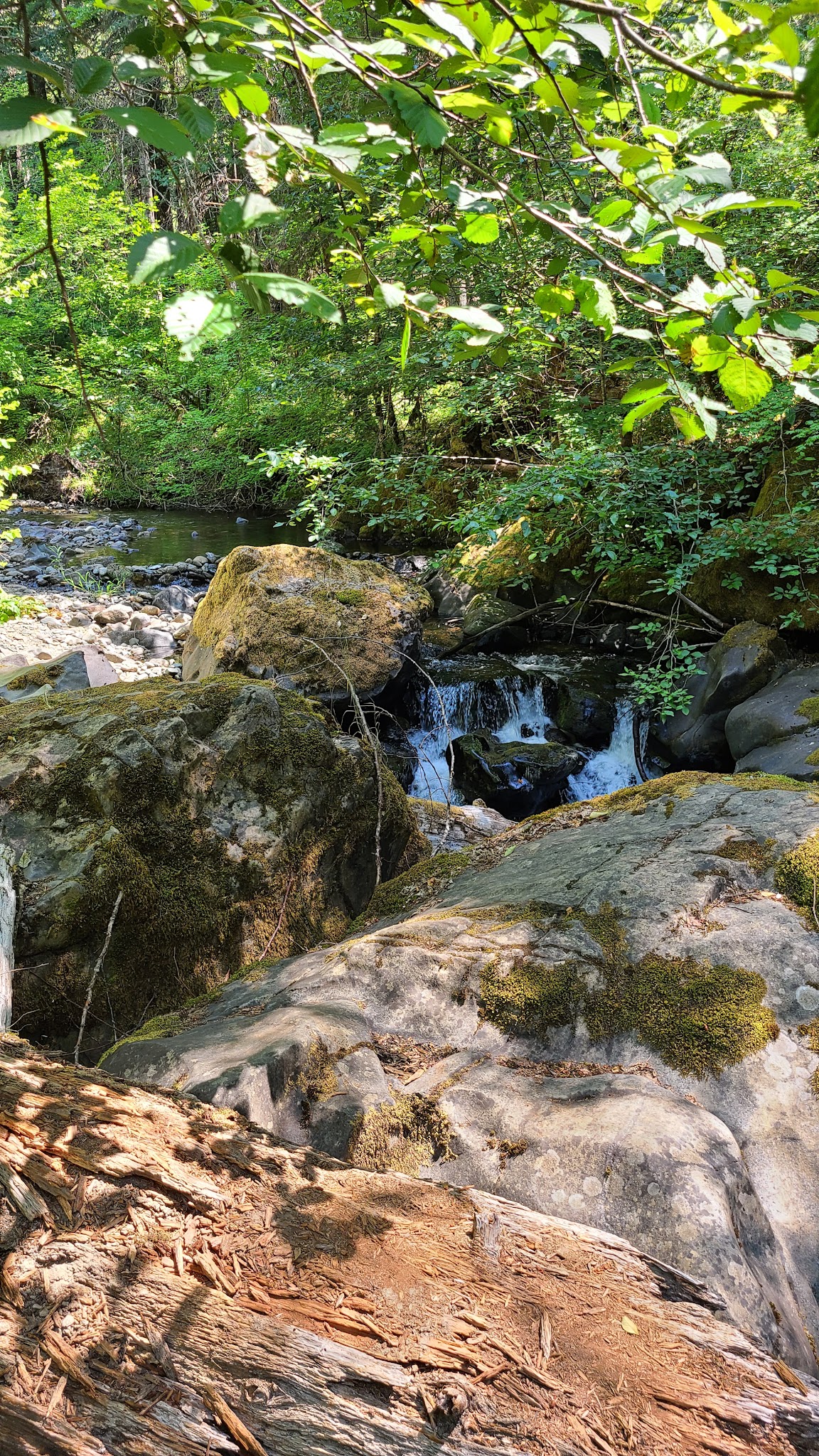 Devil'S Flat Campground