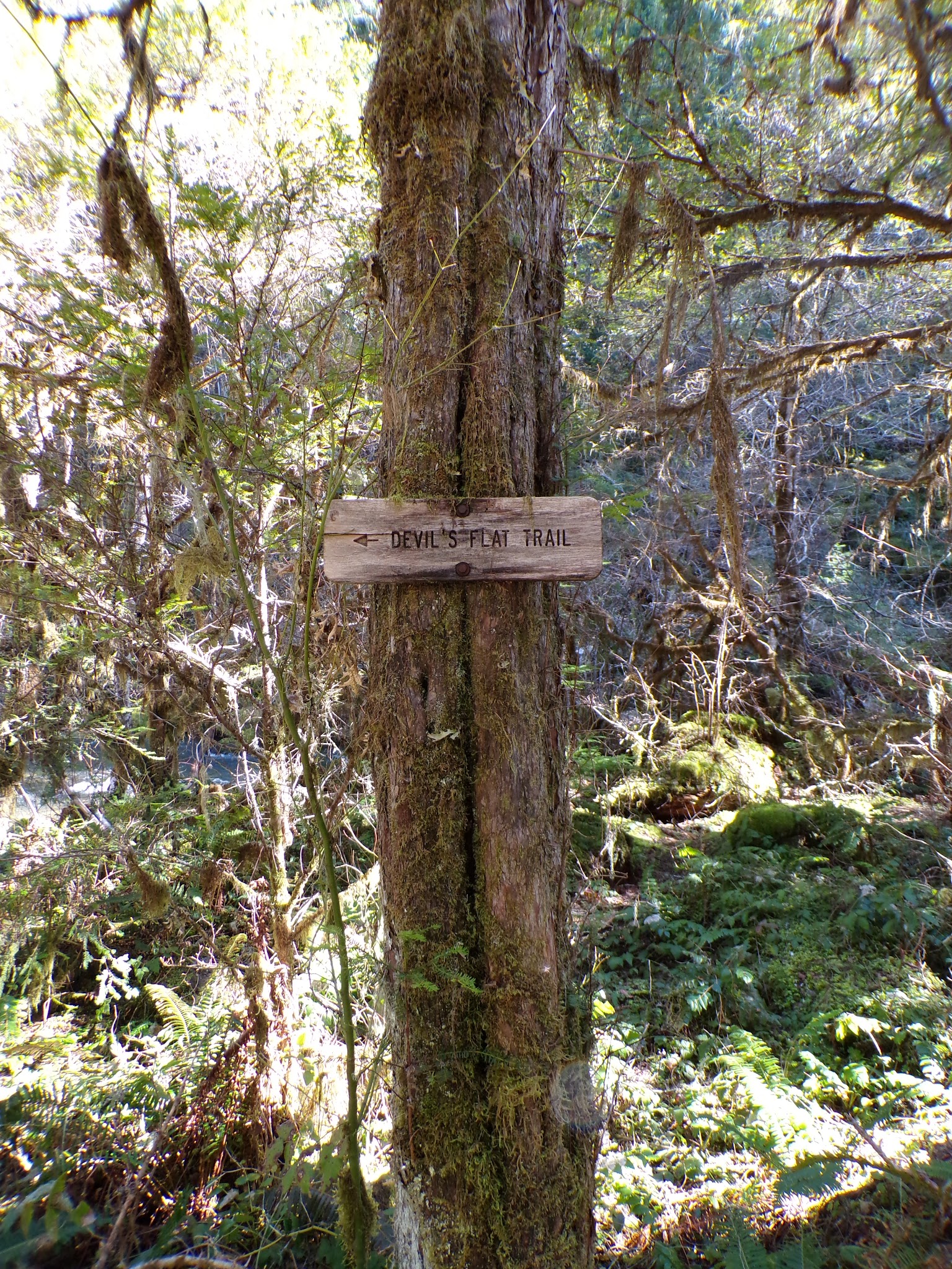 Devil'S Flat Campground