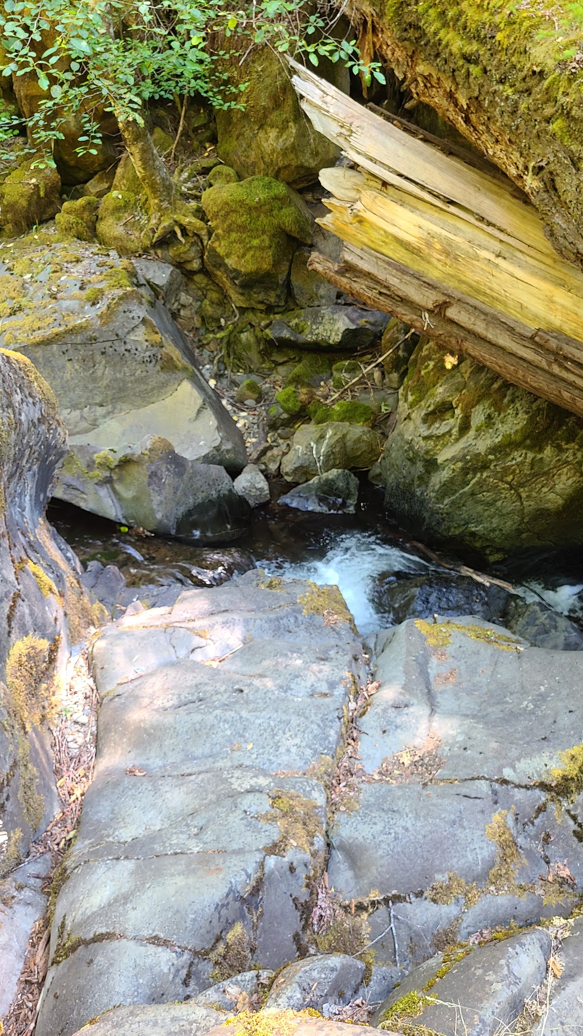 Devil'S Flat Campground