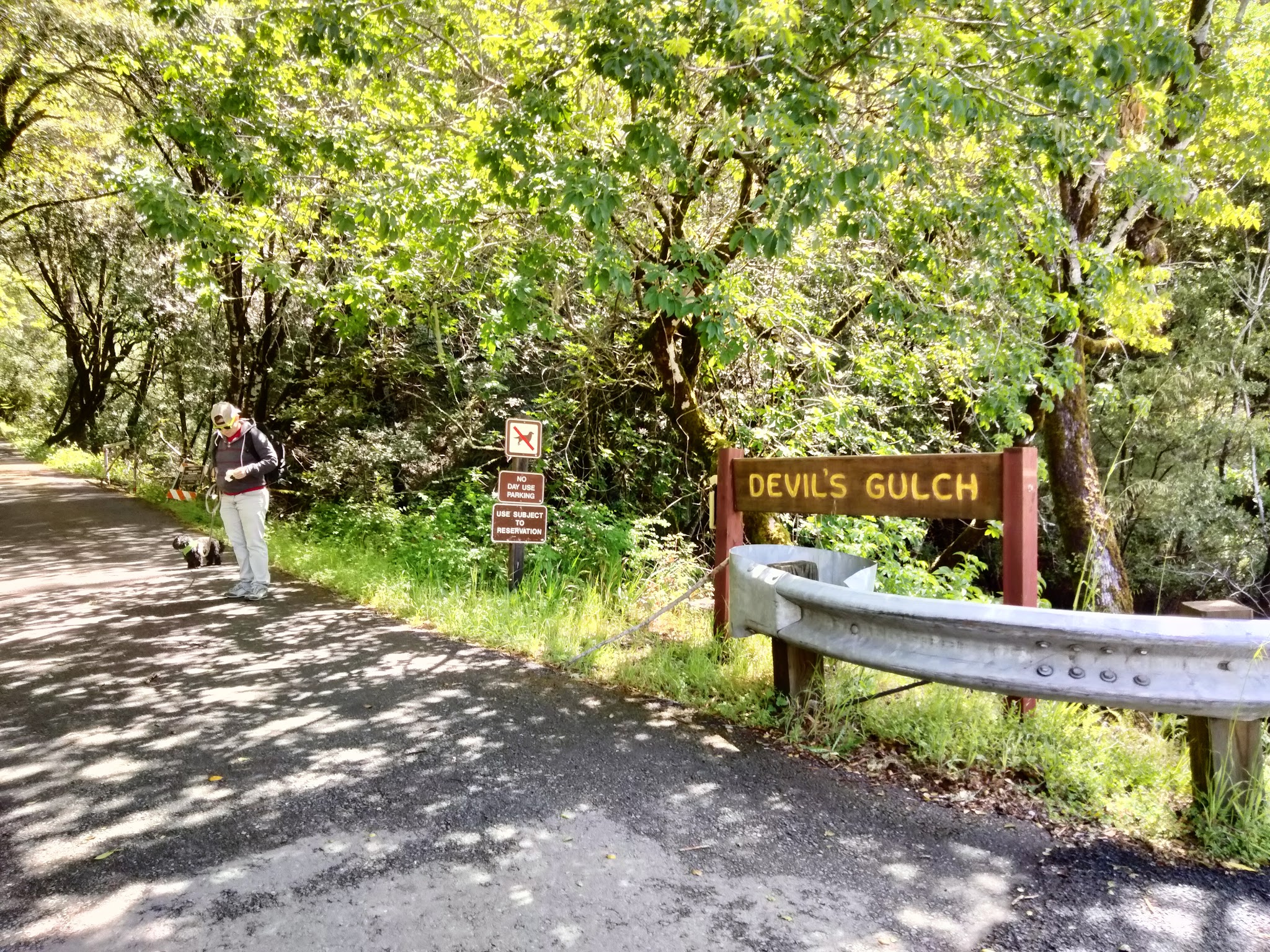 Samuel P. Taylor State Park Campground