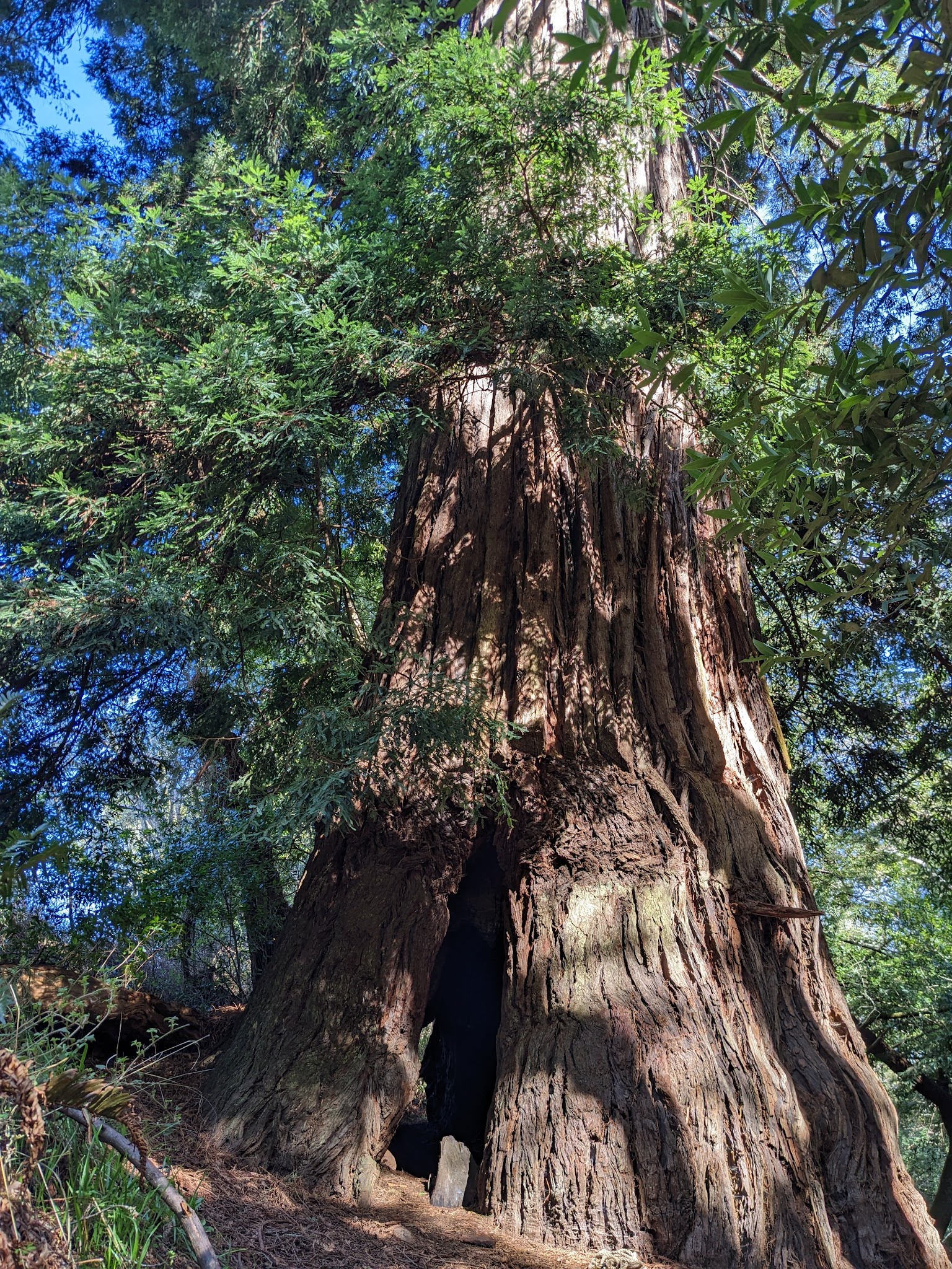 Devil Gulch Group Campground