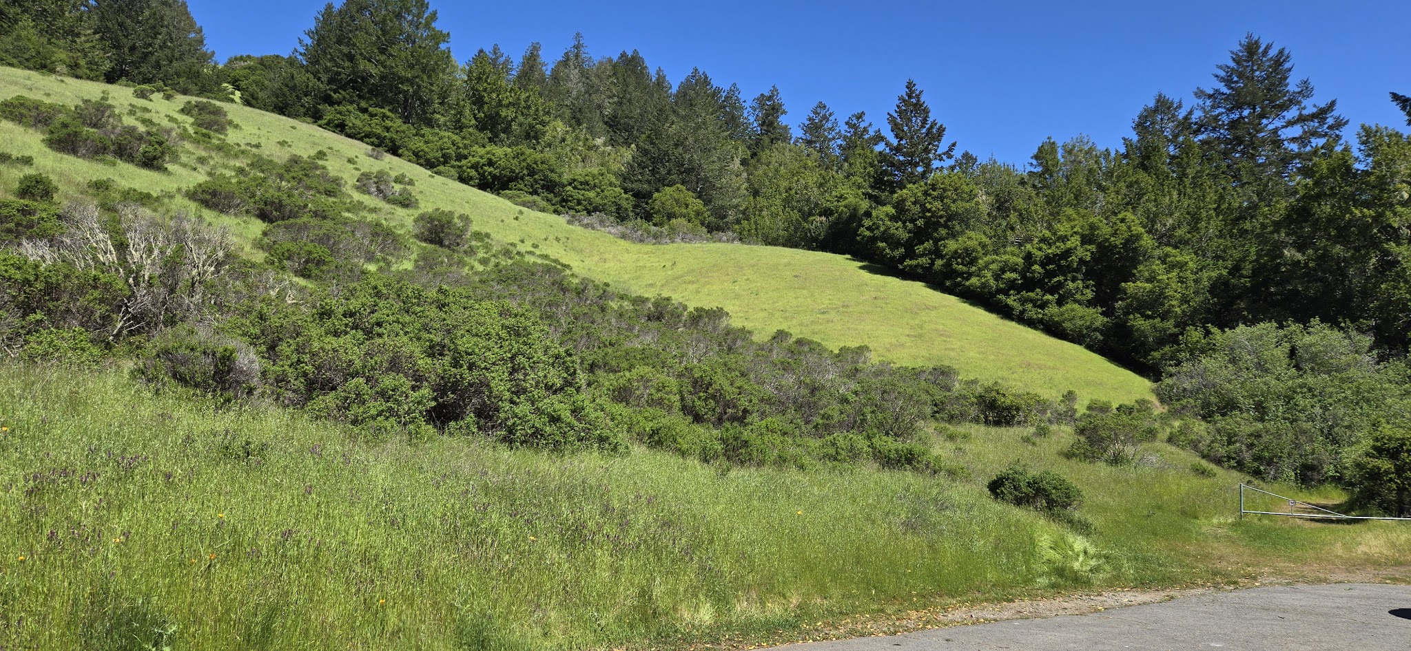 Devil Gulch Group Campground