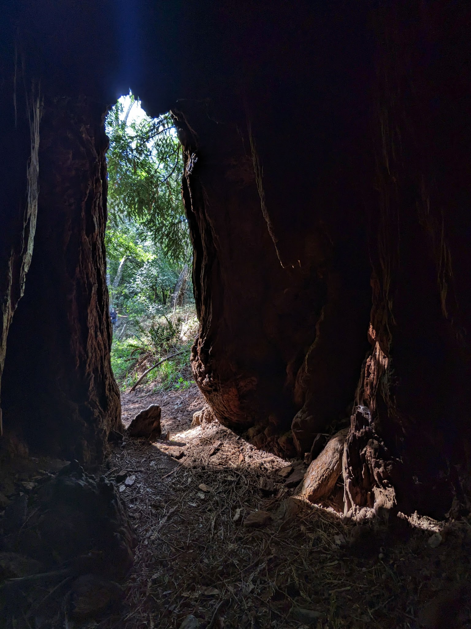 Devil Gulch Group Campground
