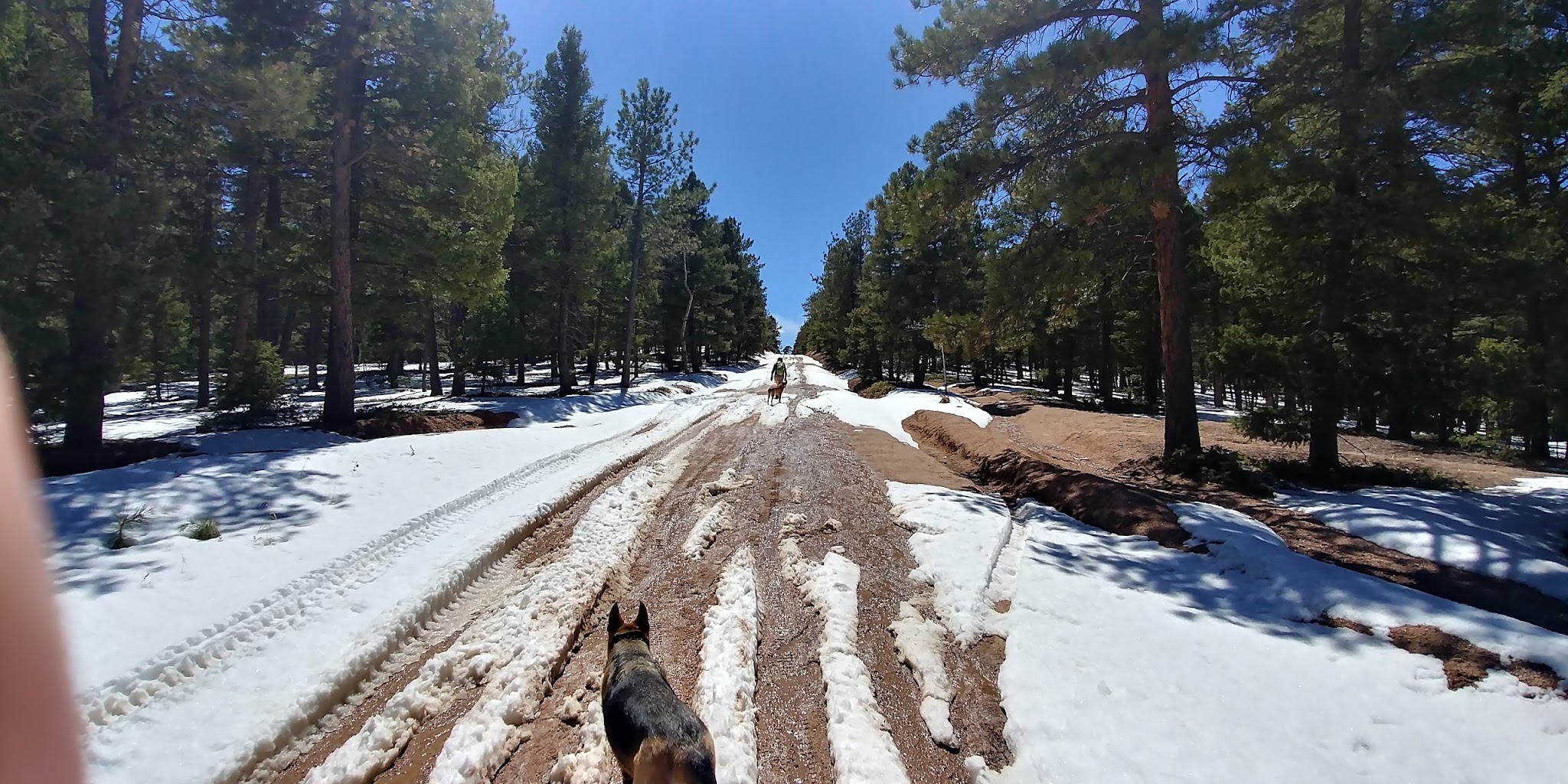 Devils Head Campground