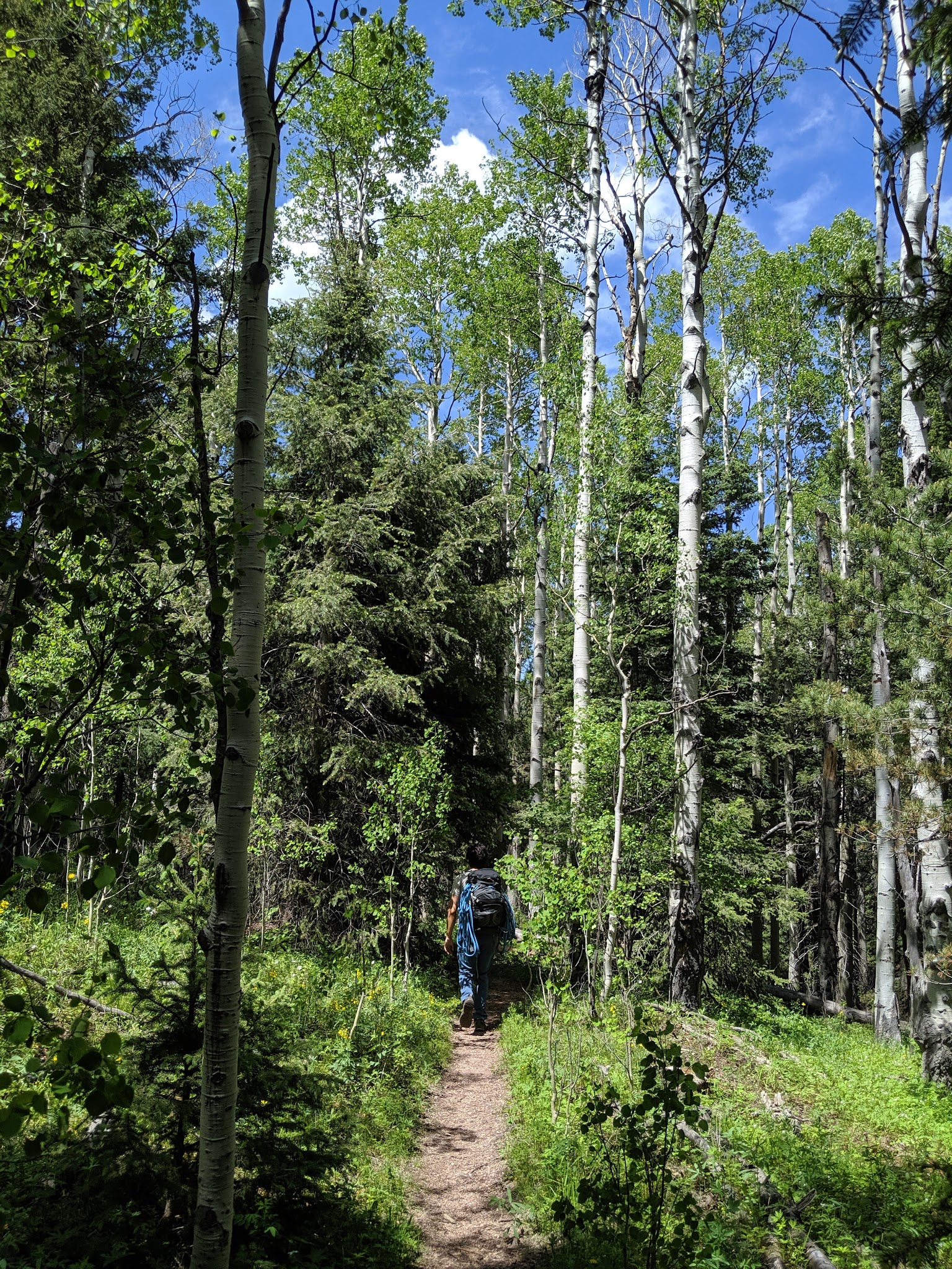 Devils Head Campground