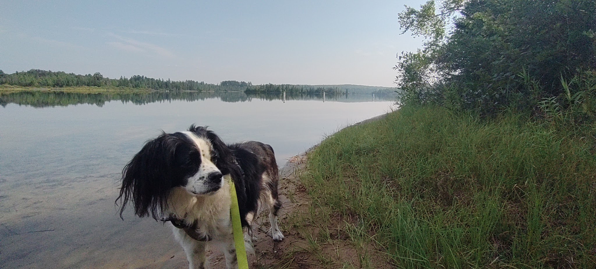 Rifle River-Devoe Lake Campground