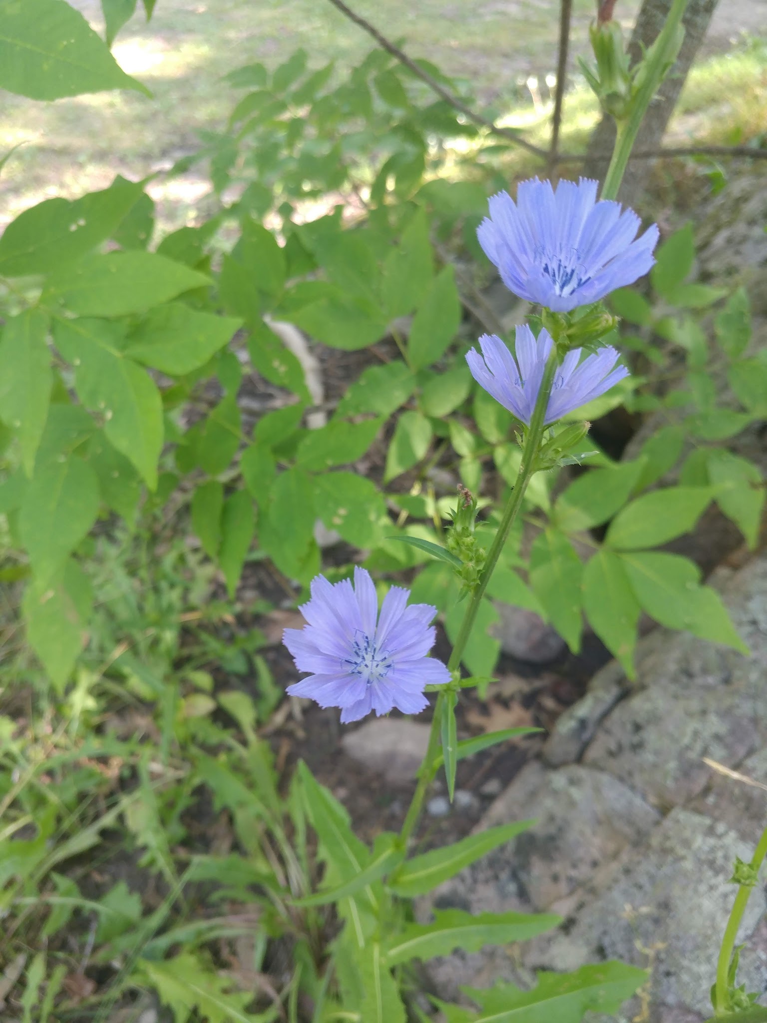 Dewolf Point State Park