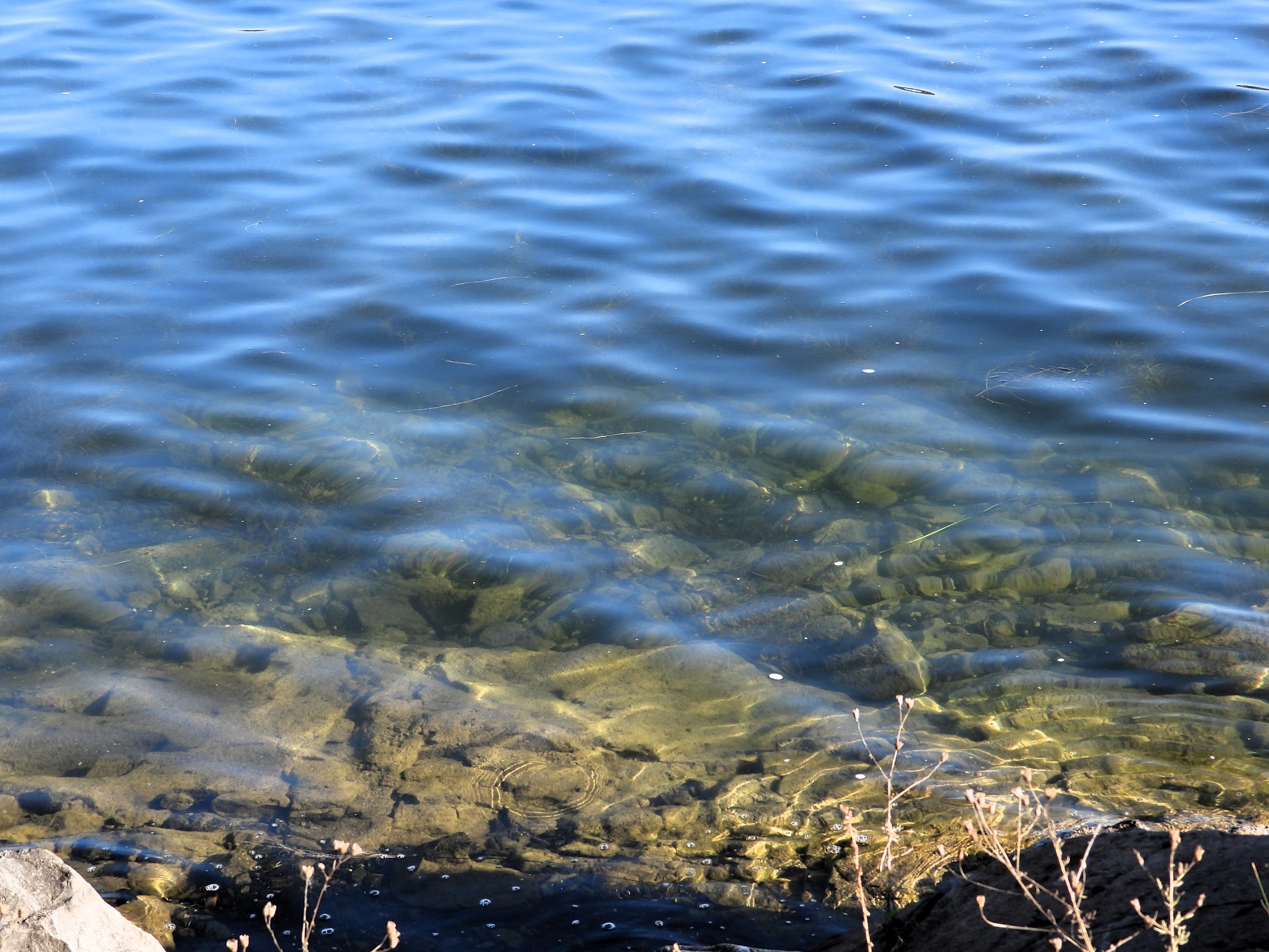 Dewolf Point State Park