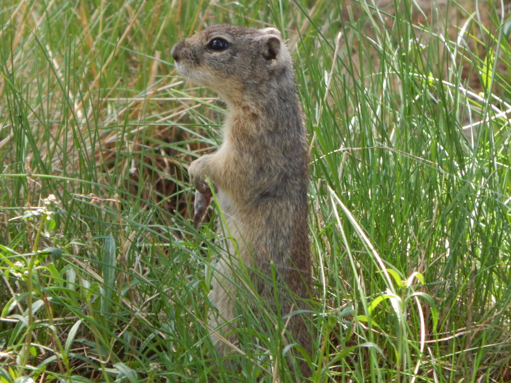 Diamond Lake Rv Park