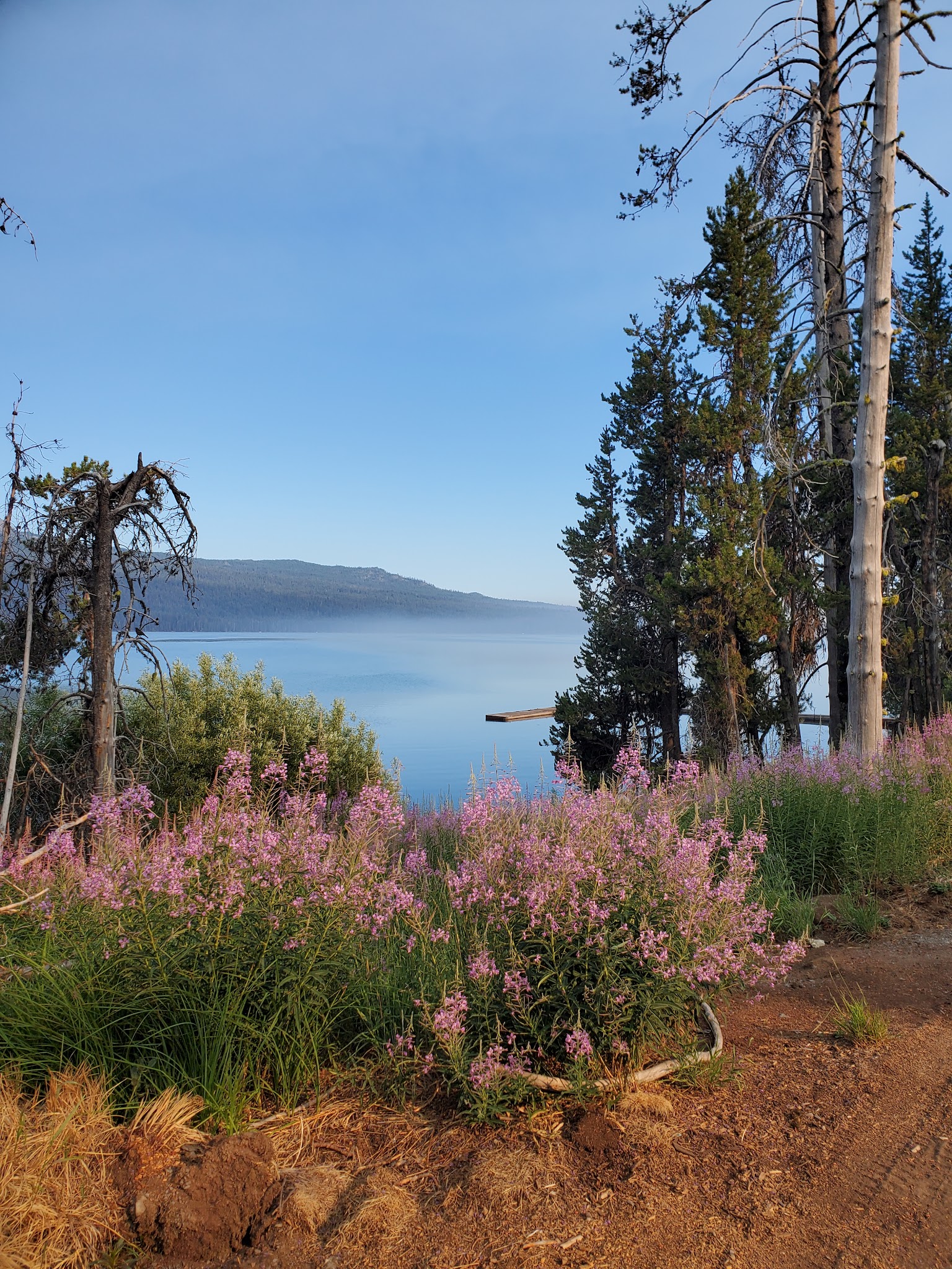 Diamond Lake Rv Park