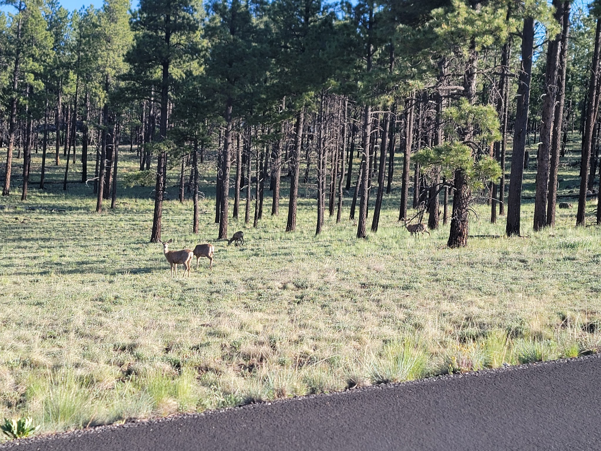 Diamond Rock Campground