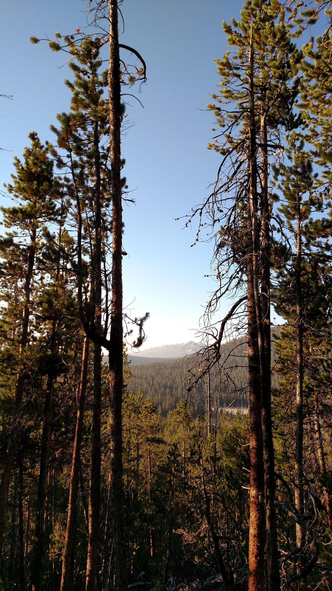 Dickinson Creek Campground