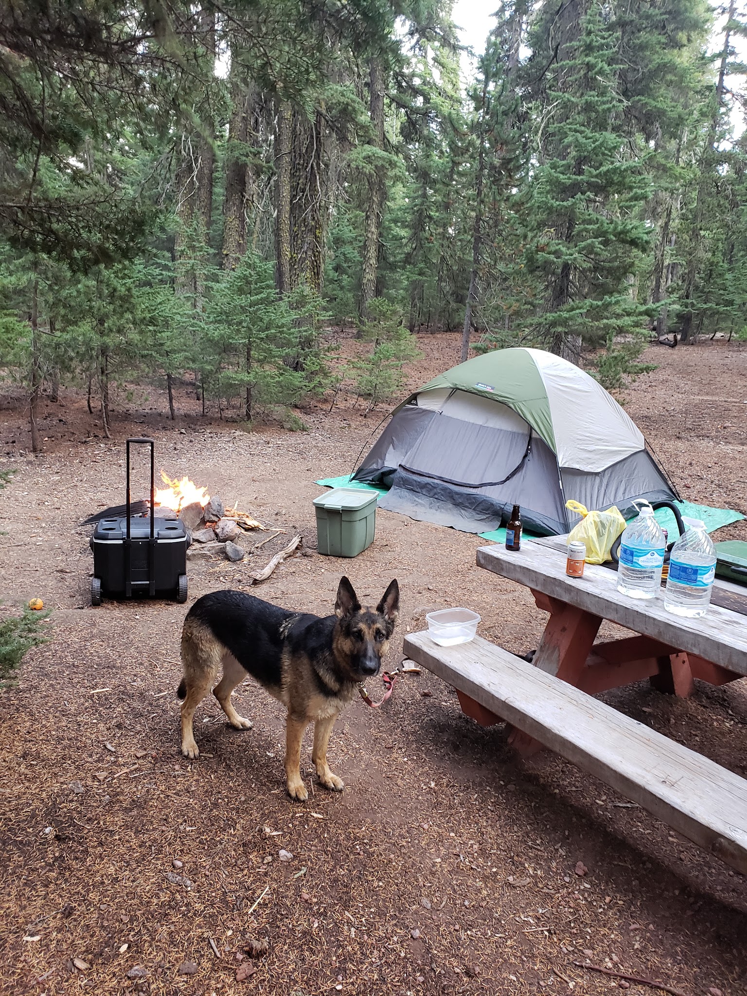 Digit Point Campground