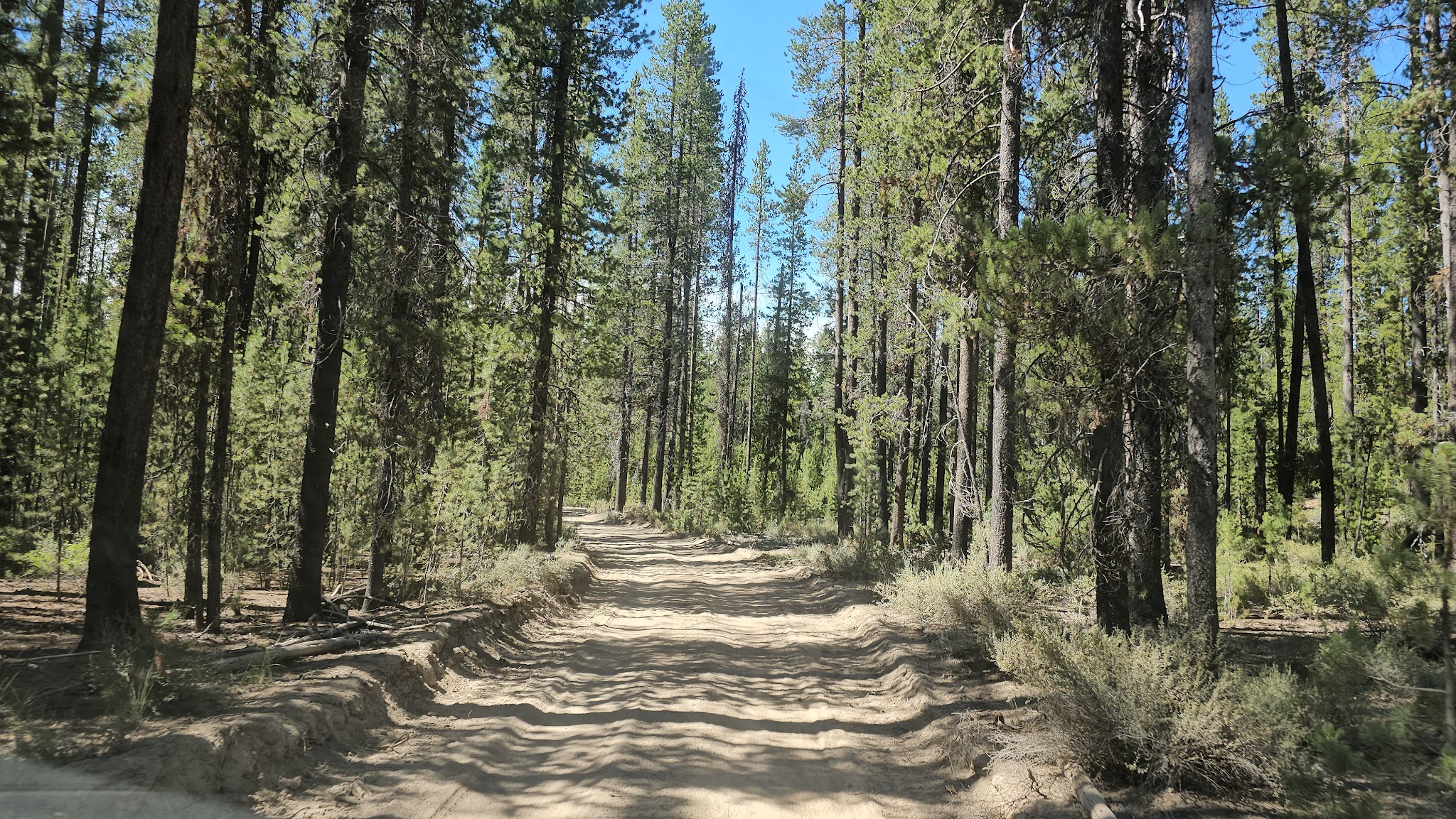 Digit Point Campground