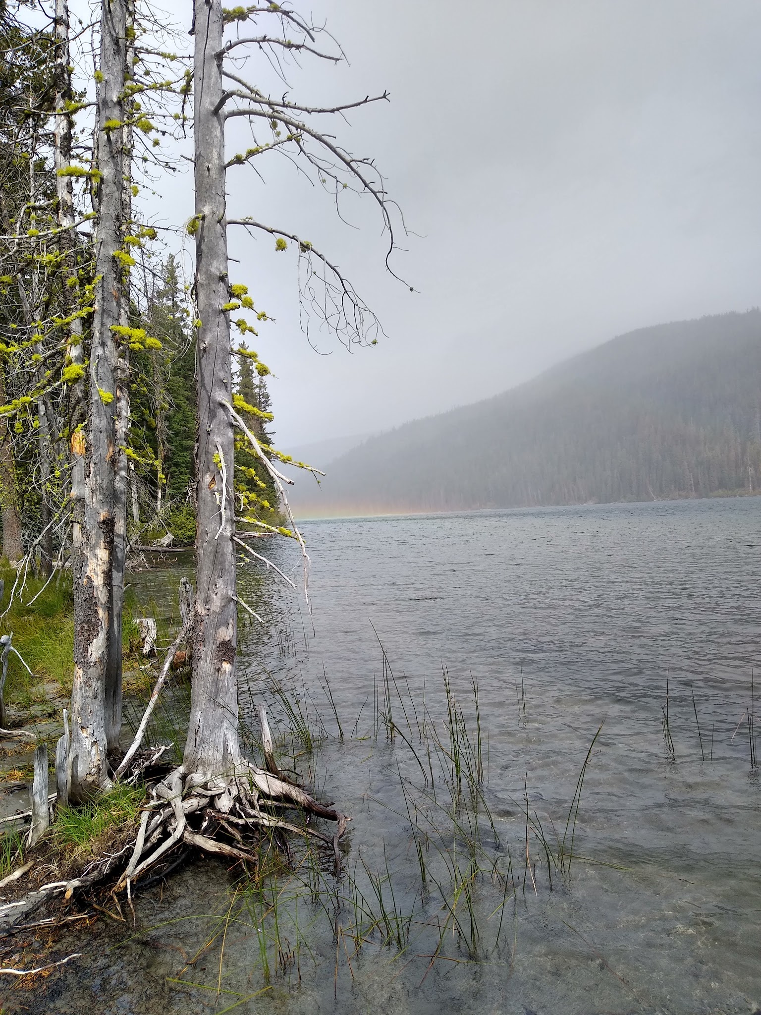 Digit Point Campground