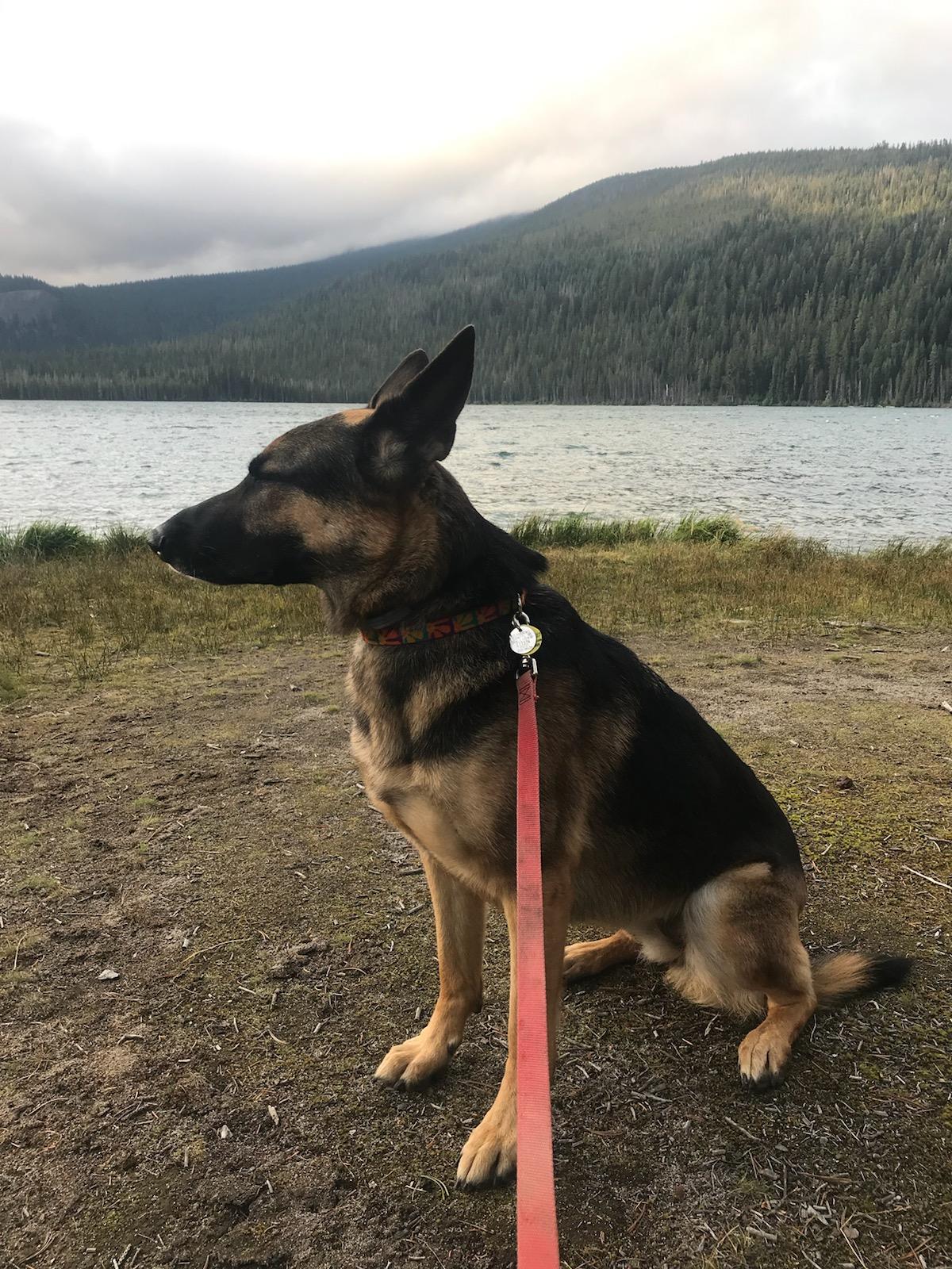 Digit Point Campground