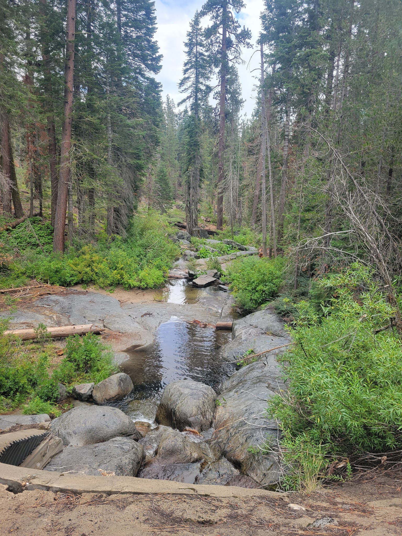 Dinkey Creek