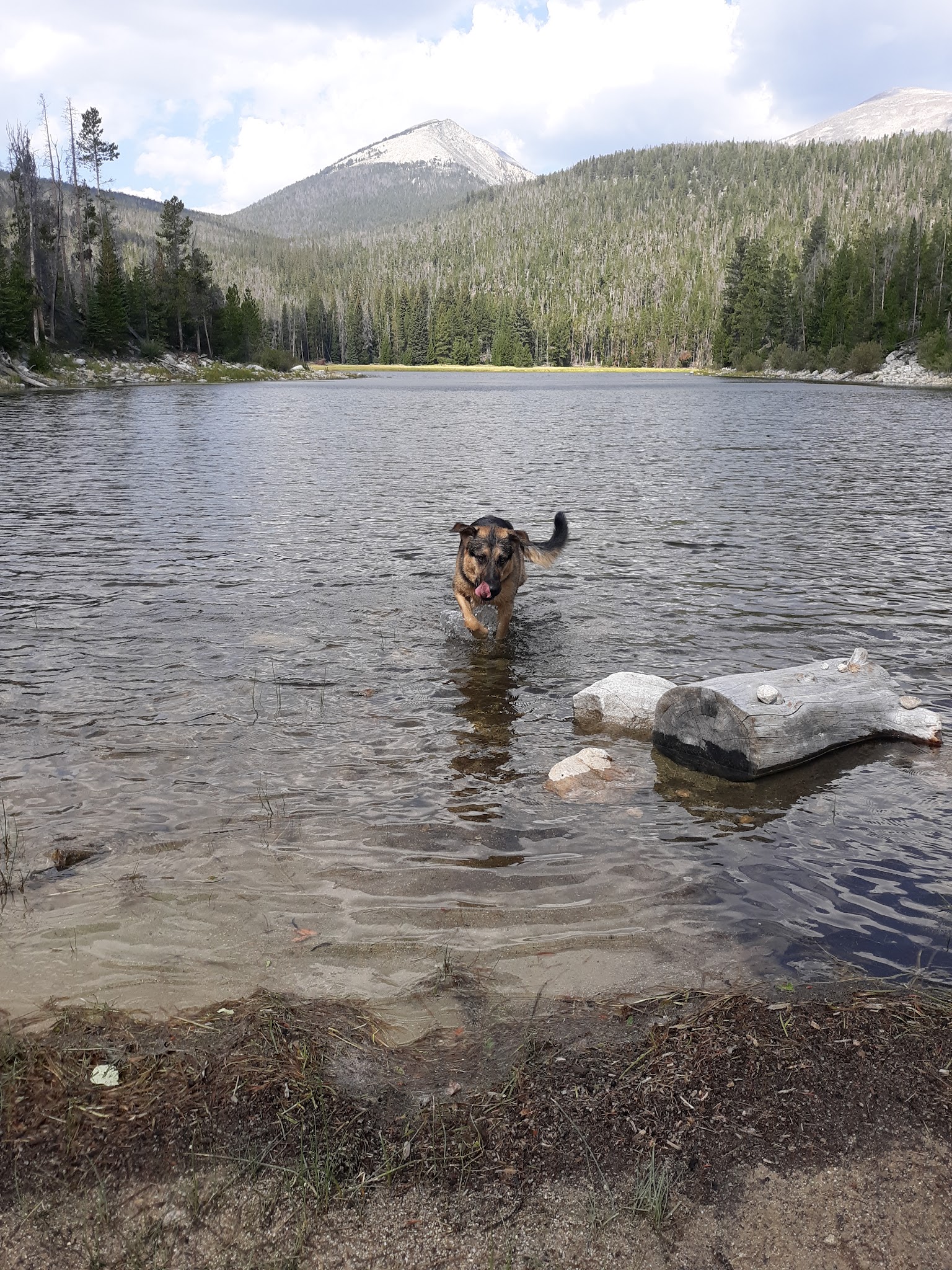 Dinner Station Campground And Picnic Area