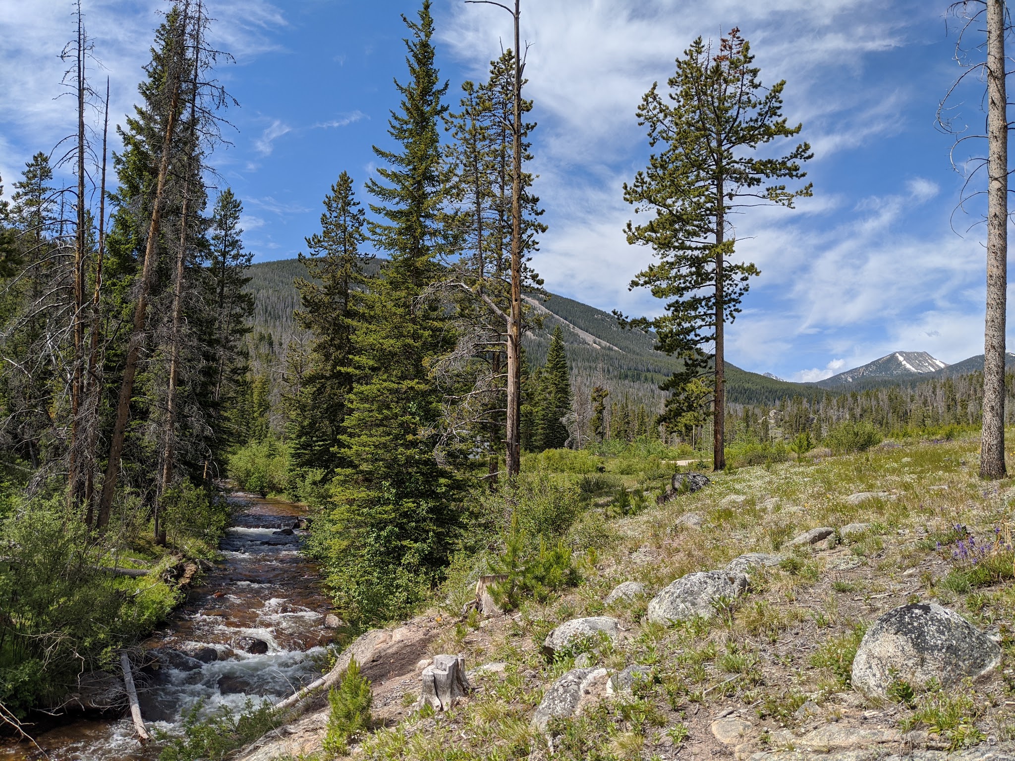 Dinner Station Campground And Picnic Area
