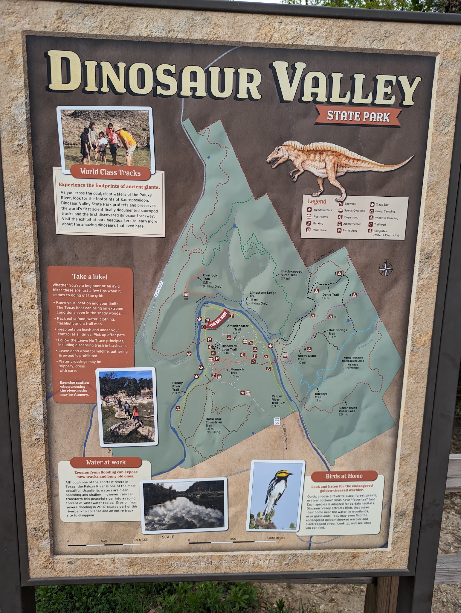 Dinosaur Valley State Park