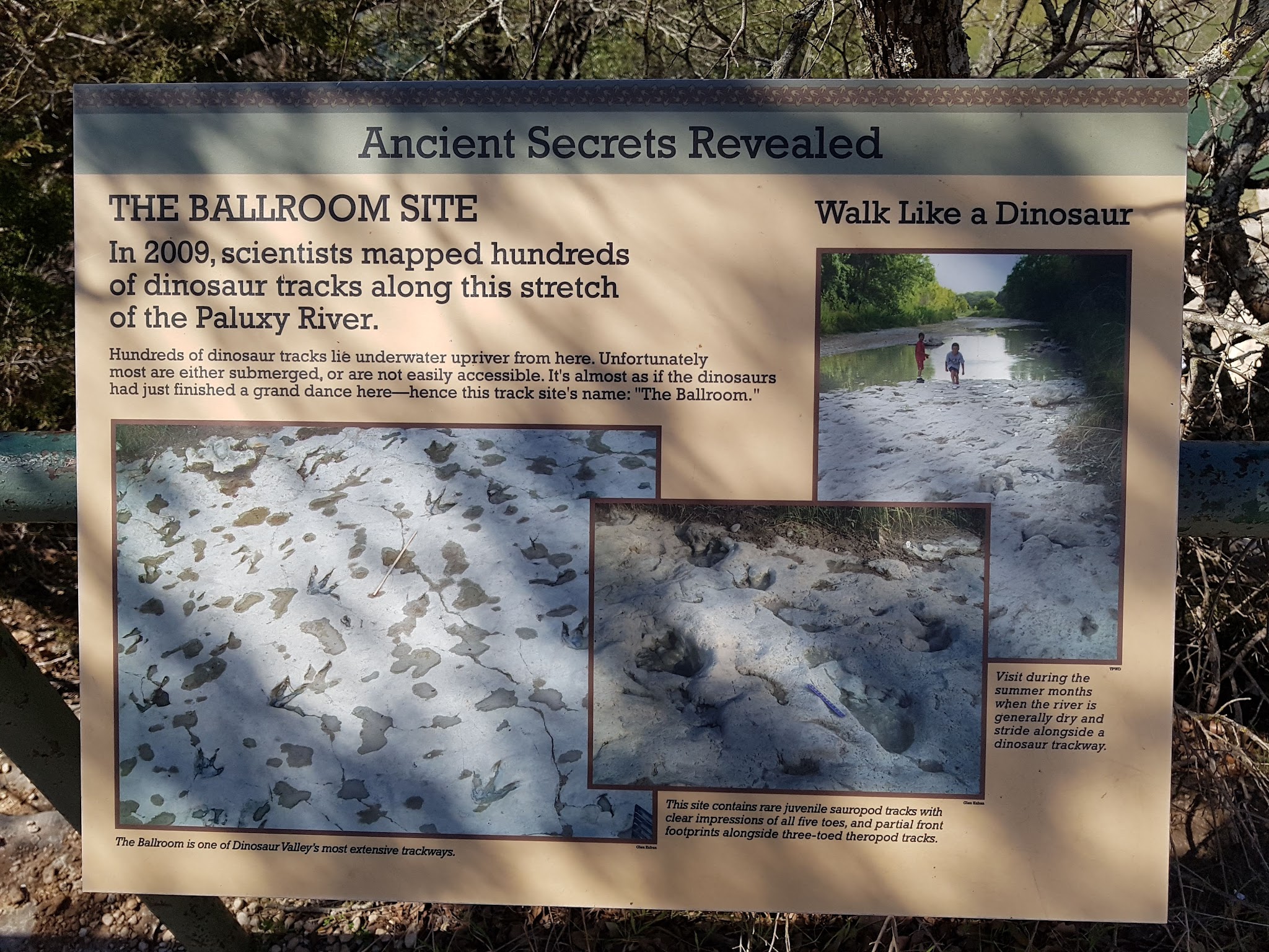 Dinosaur Valley State Park