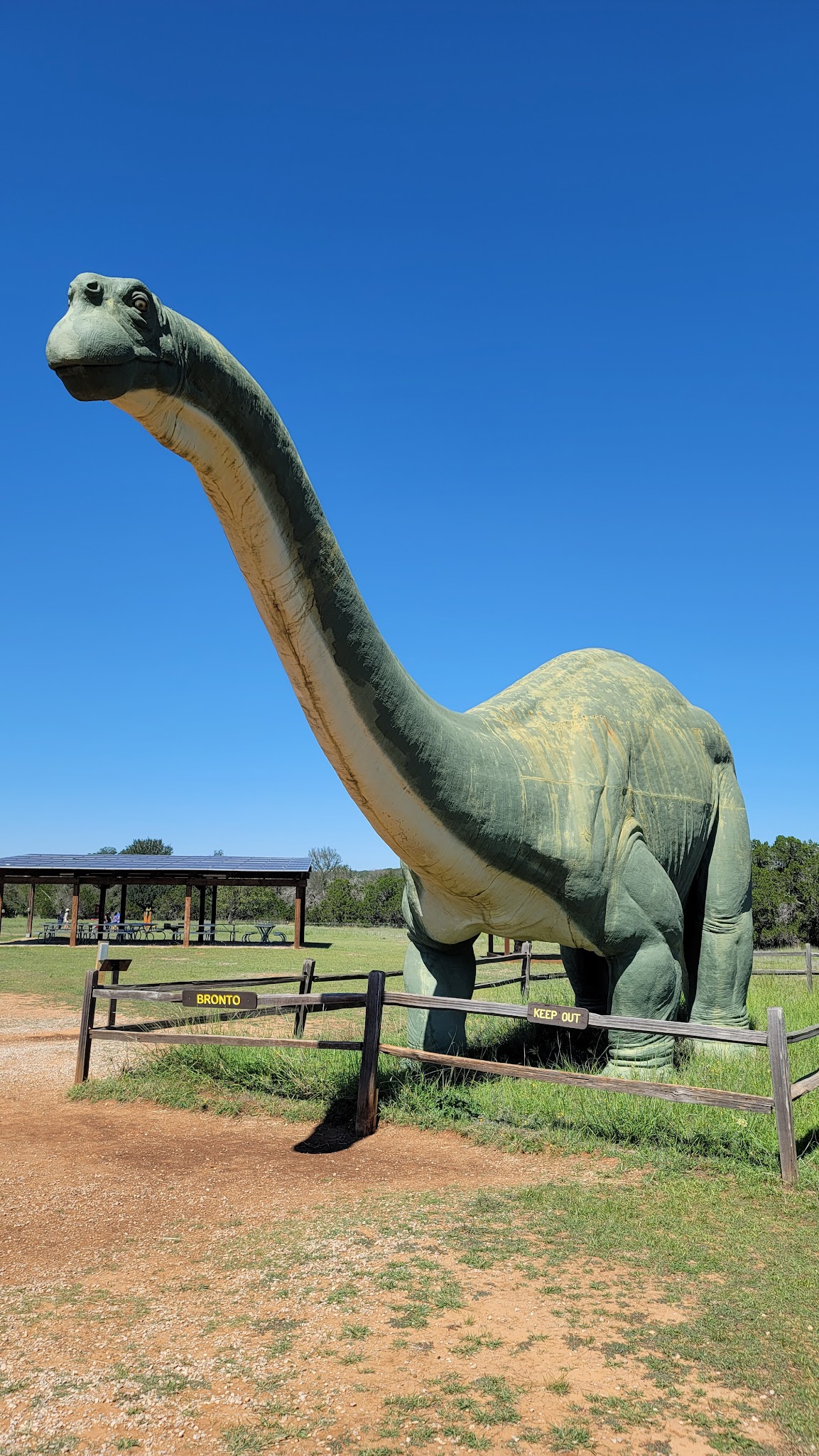Dinosaur Valley State Park