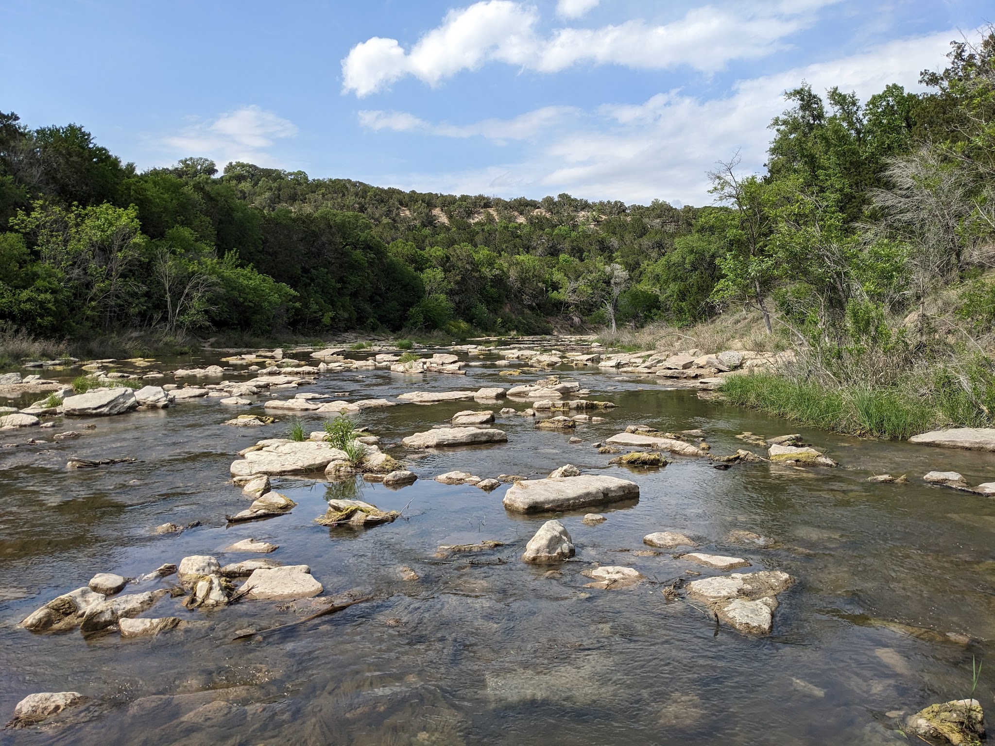 Dinosaur Valley State Park