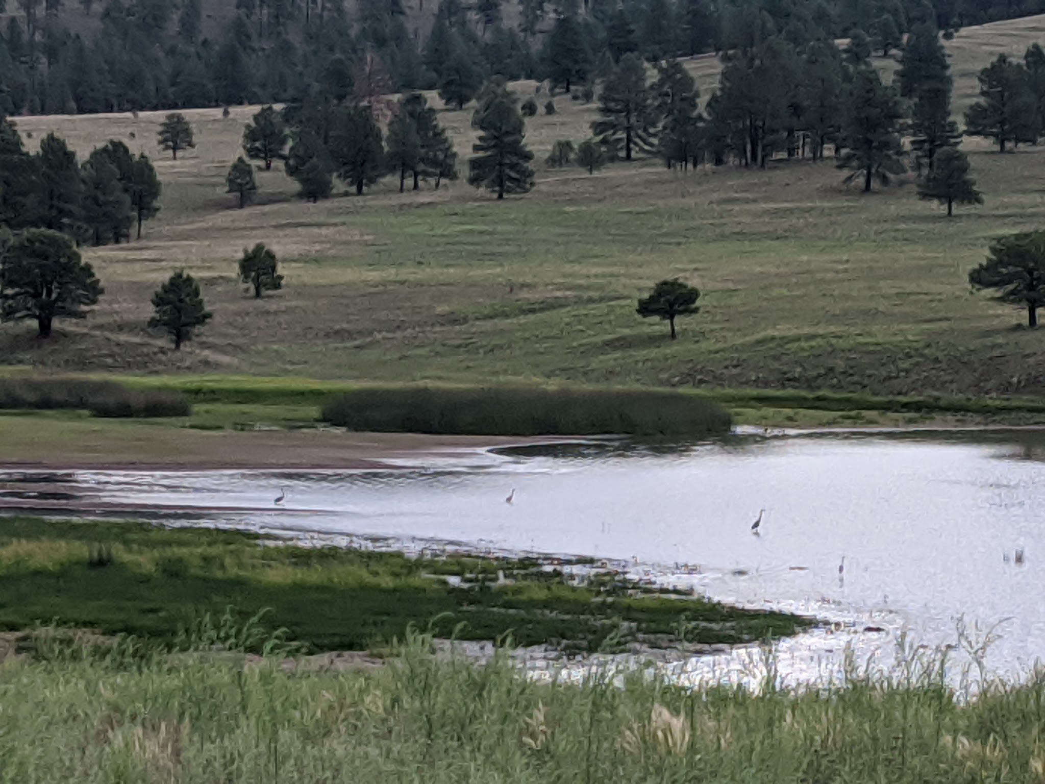 Dipping Vat Campground