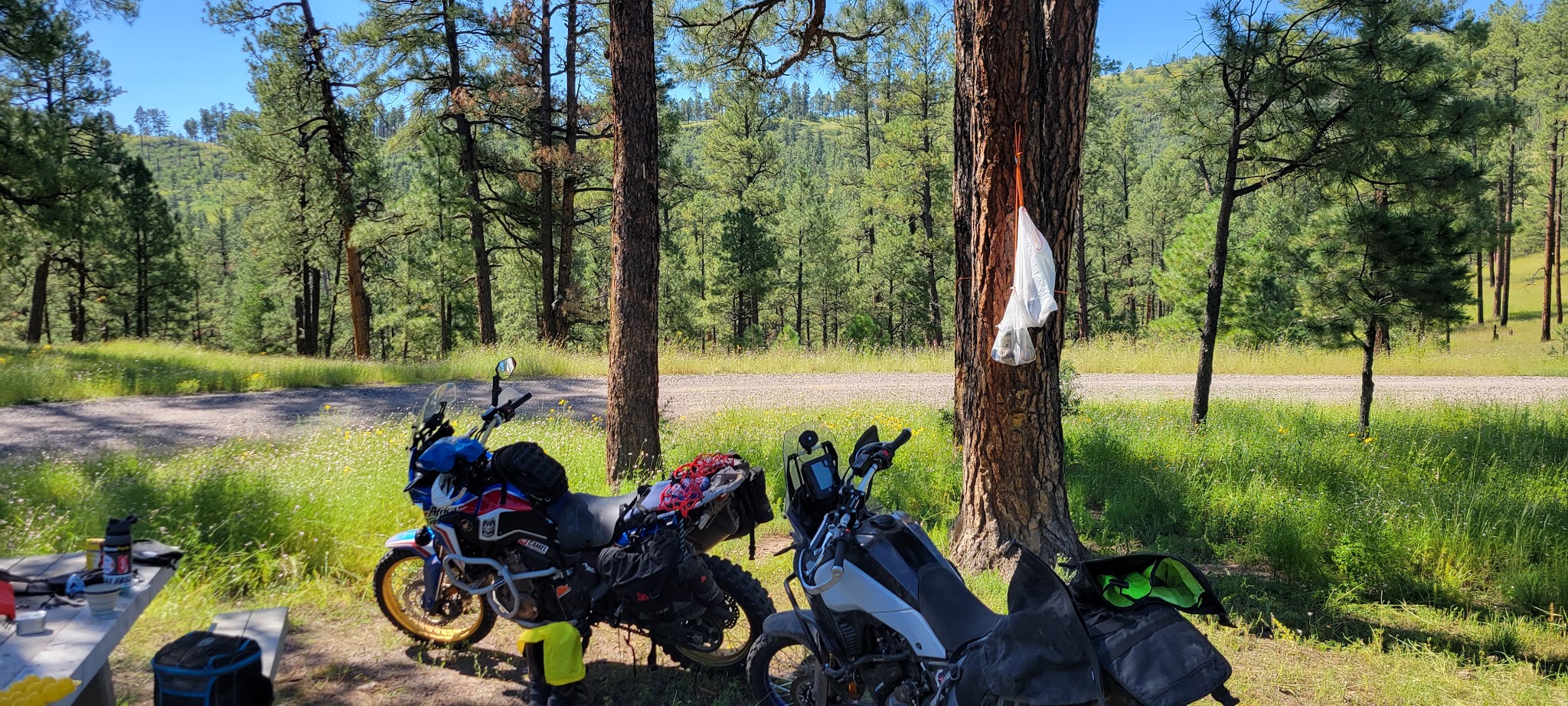 Dipping Vat Campground