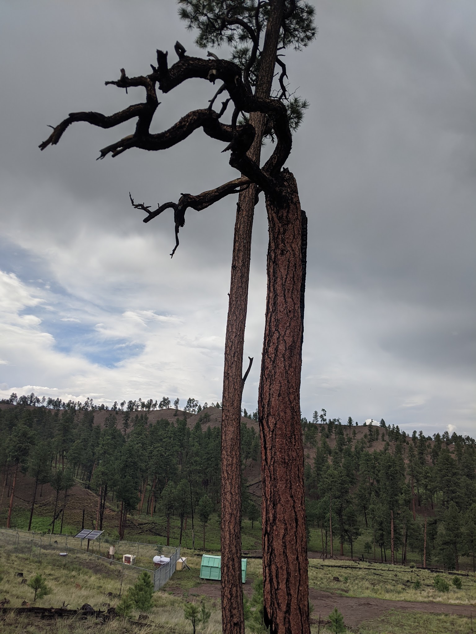 Dipping Vat Campground