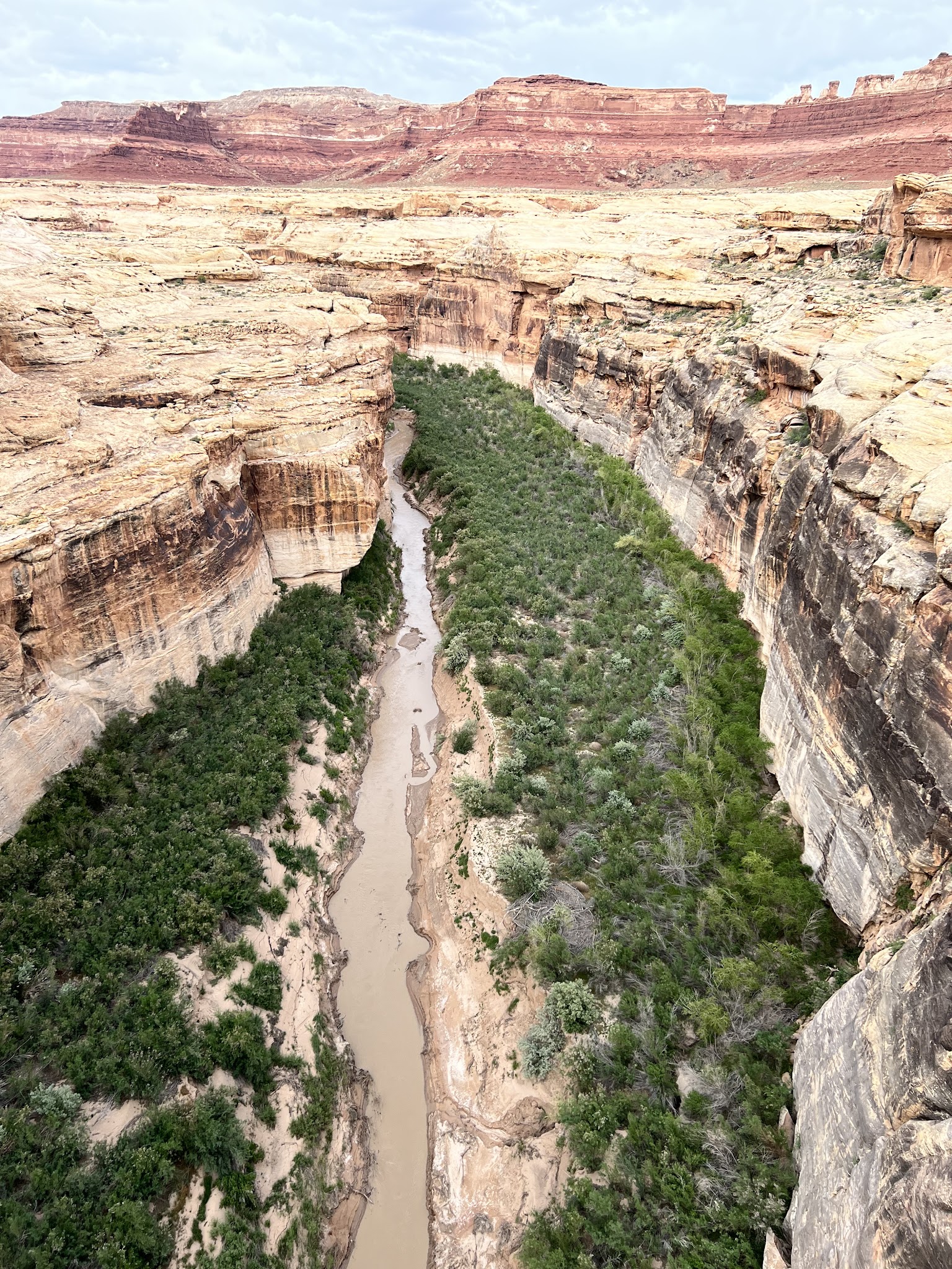 Dirty Devil Primitive Camping