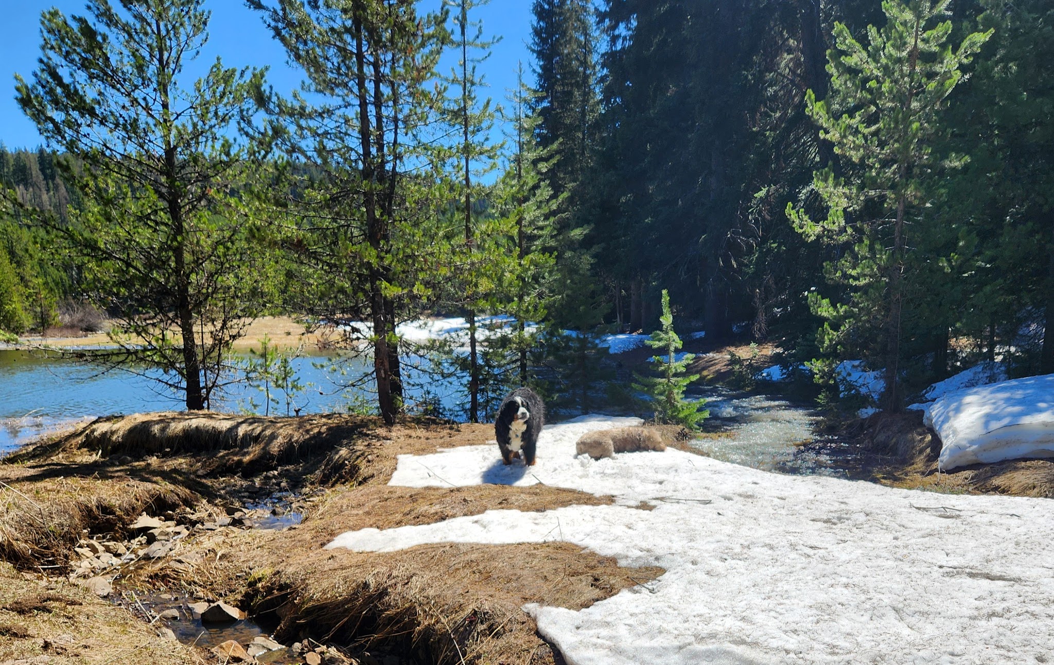 Ditch Creek Guard Station Cab