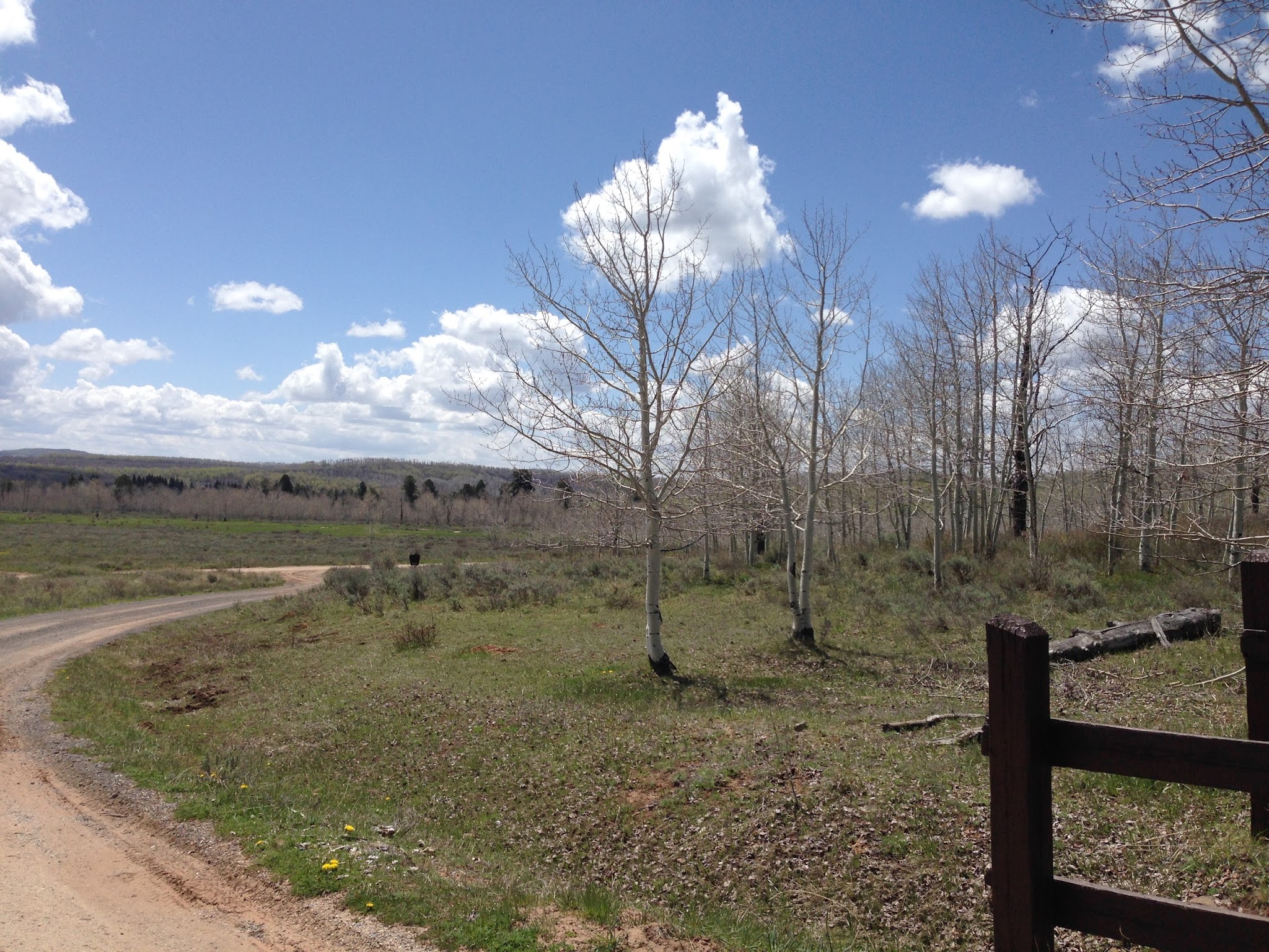 Divide Forks Campground - Grand Valley Rd