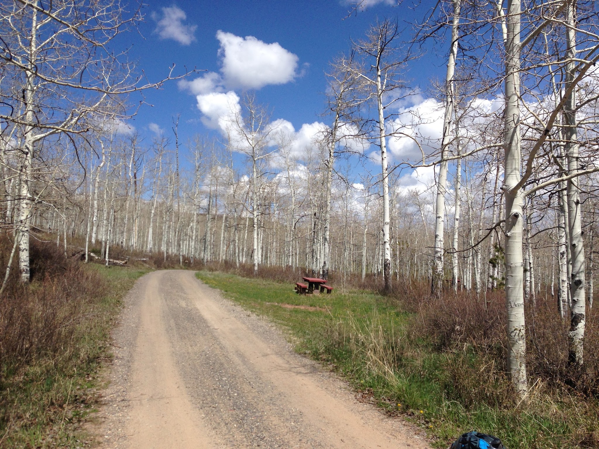 Divide Forks Campground - Grand Valley Rd