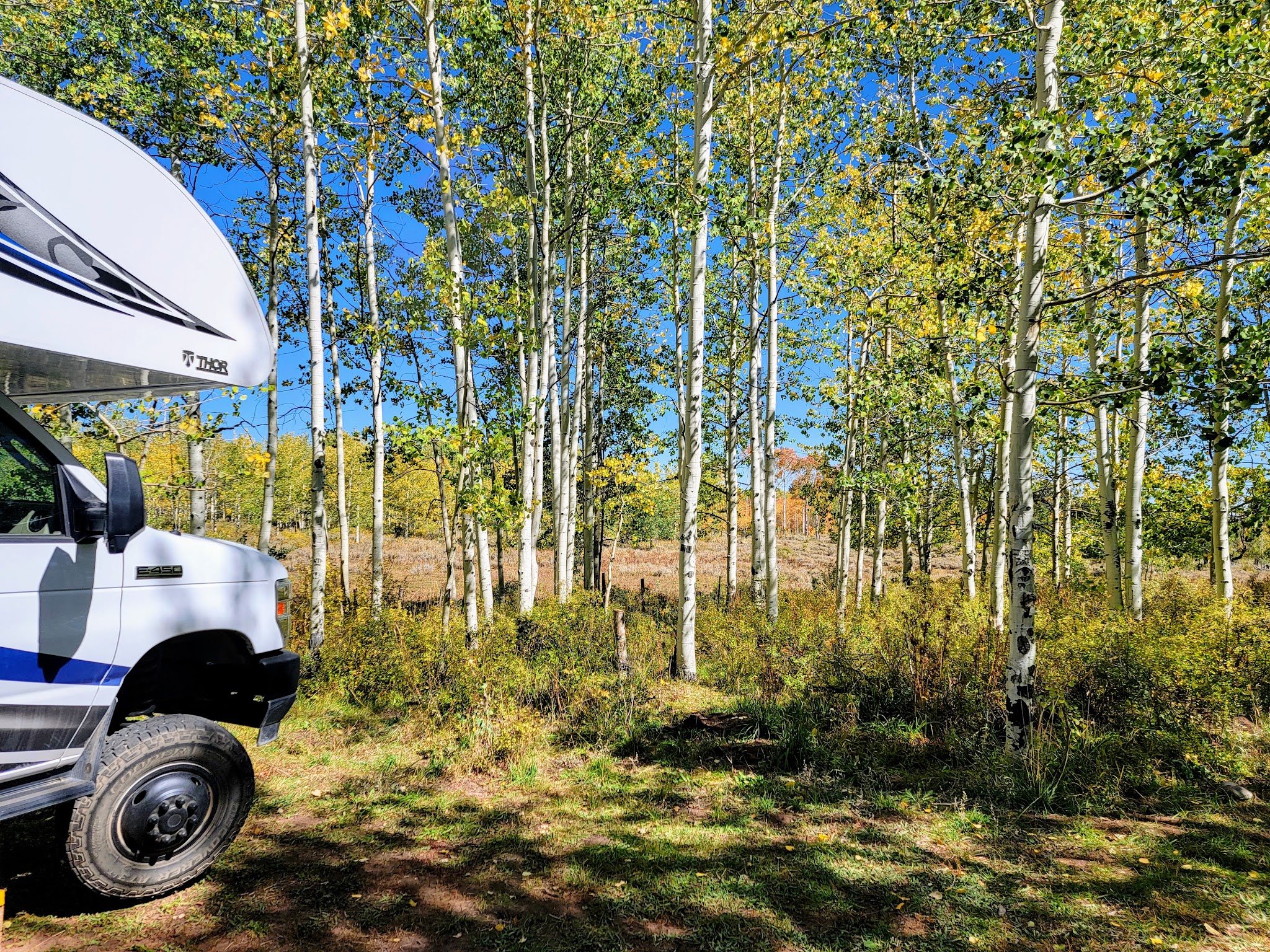 Divide Forks Campground - Grand Valley Rd